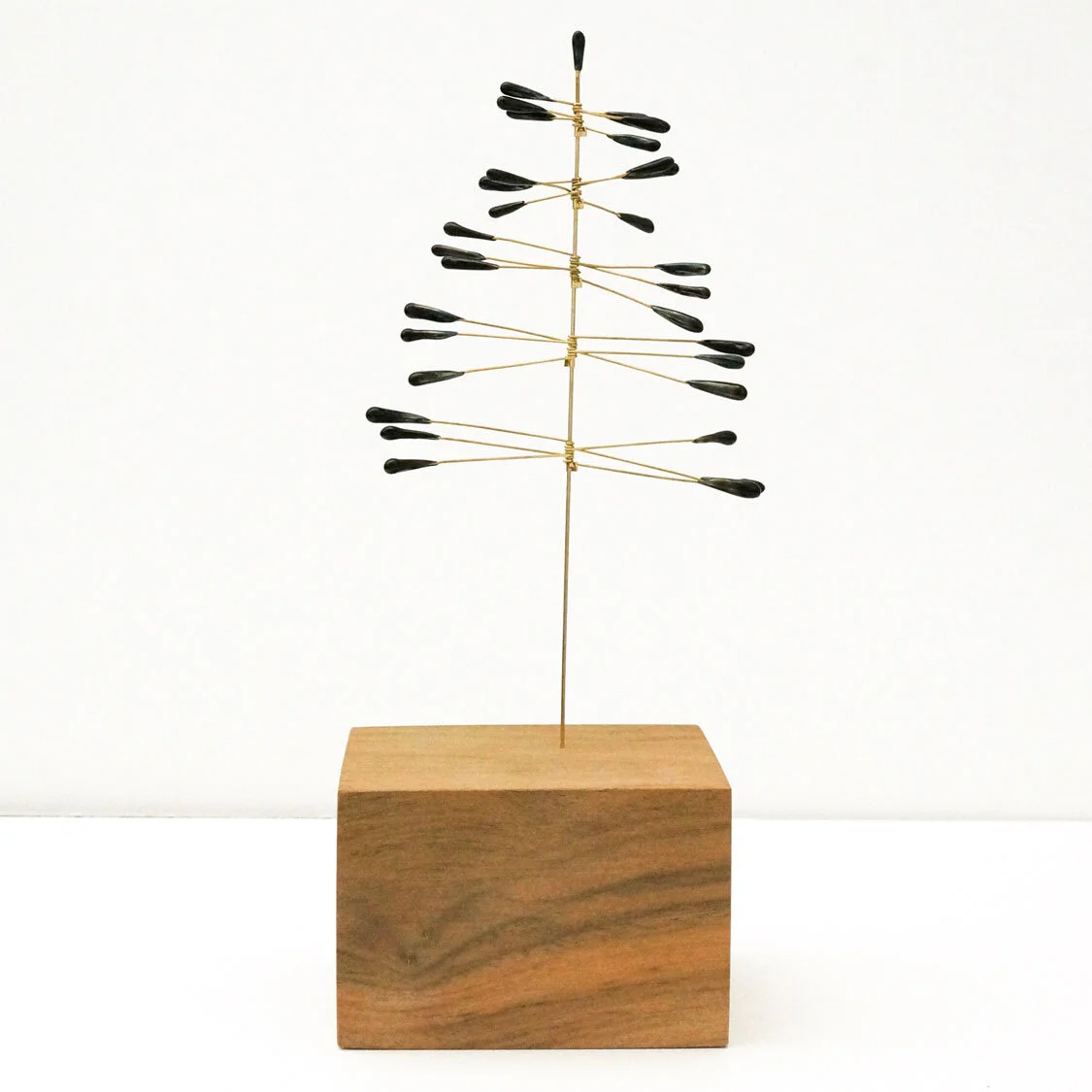 Pine3.jpg