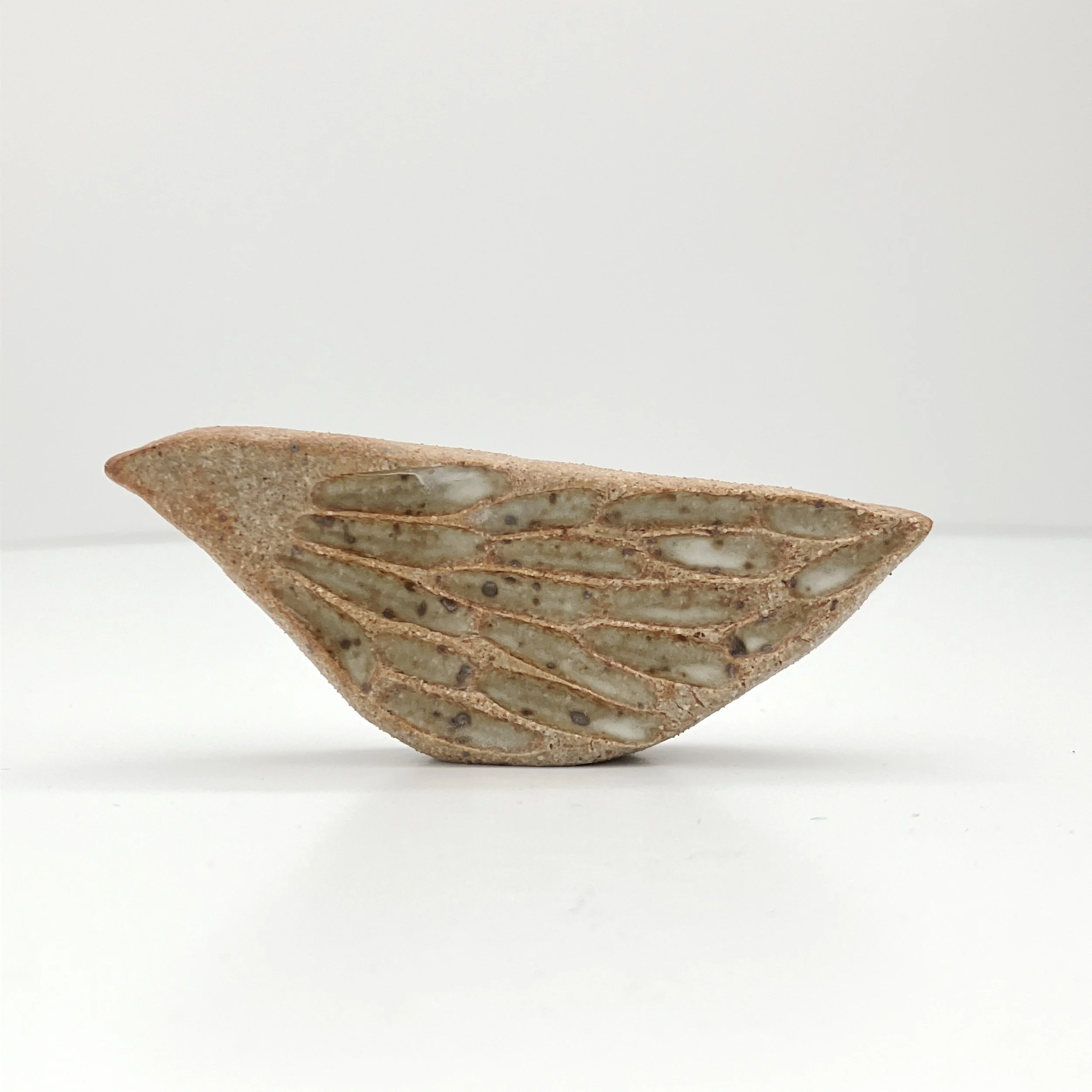 bird 34
