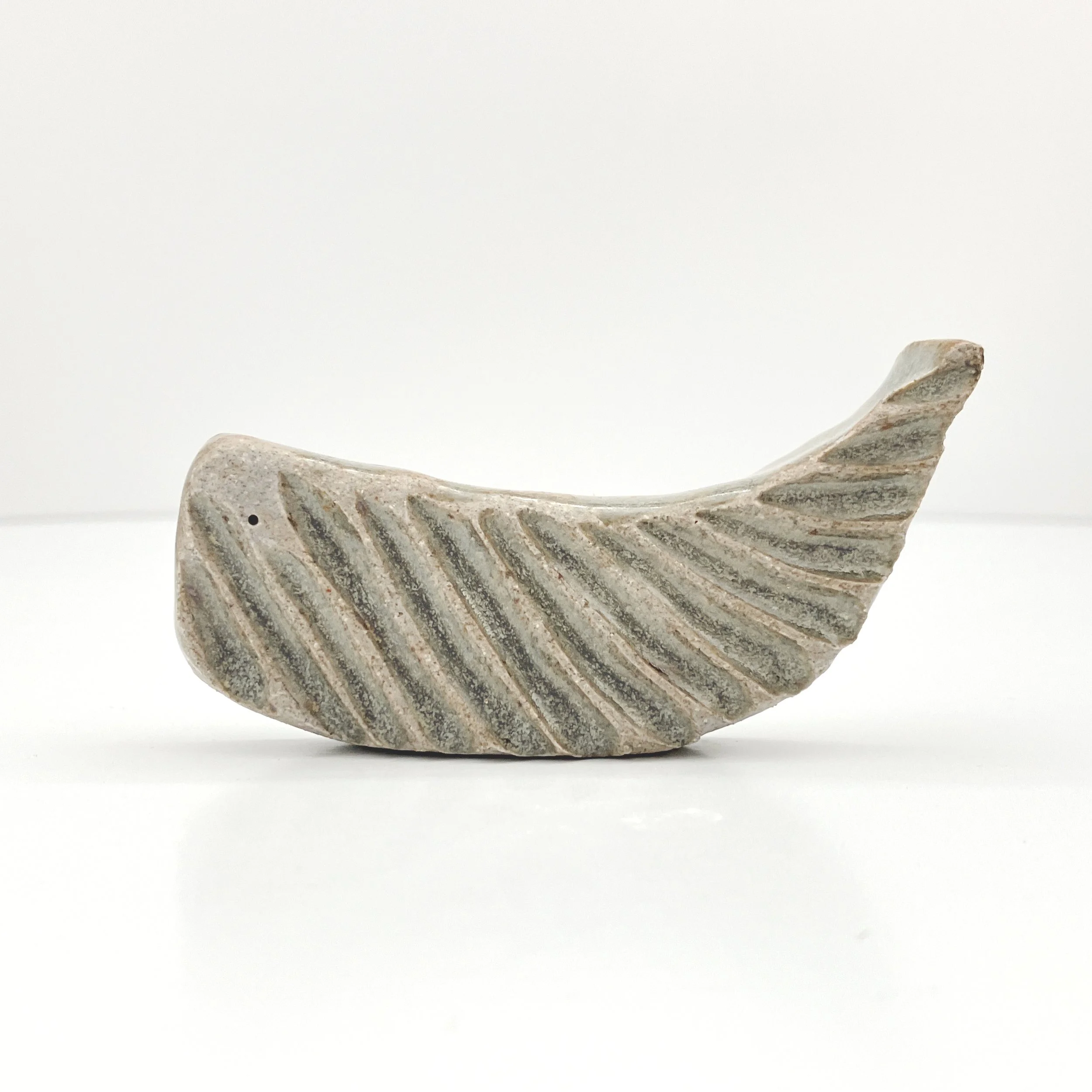 whale 25