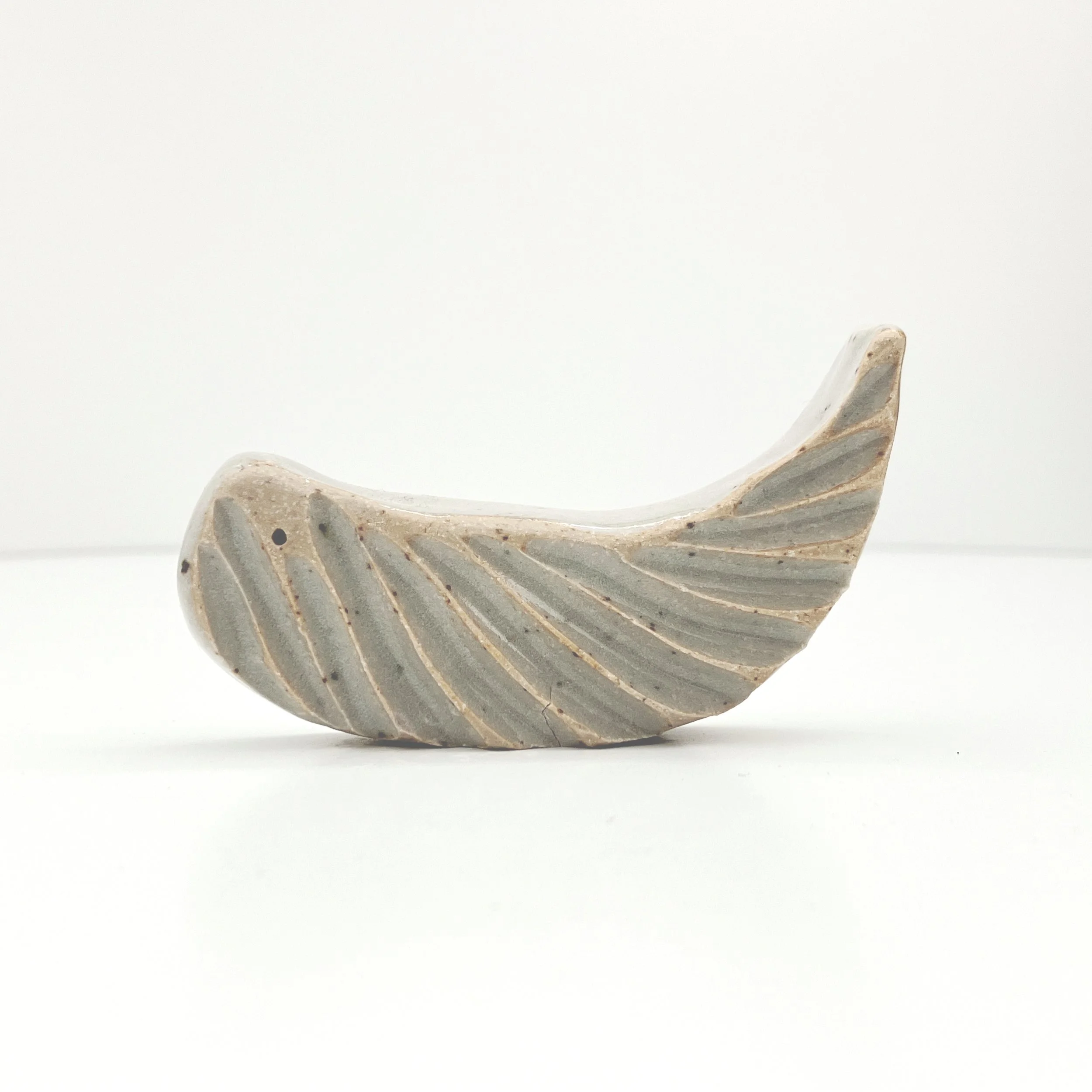 whale 27