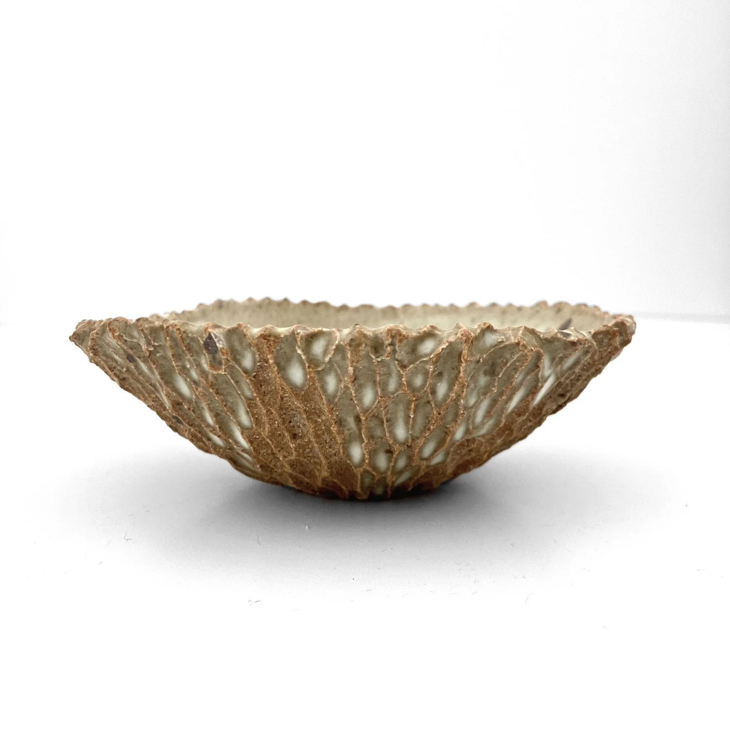 jagged.bowl.65C.jpg