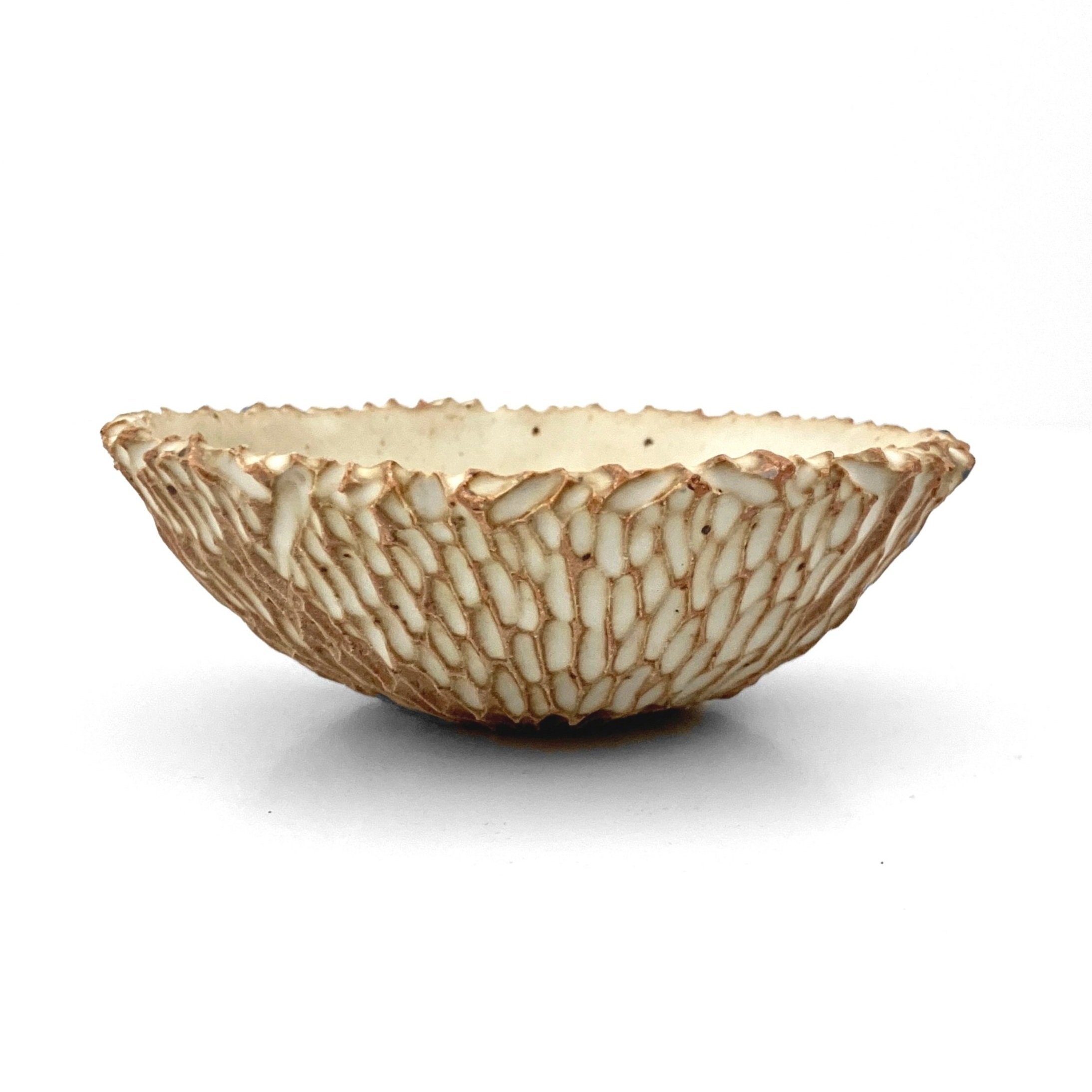 jagged.bowl.67C.jpg