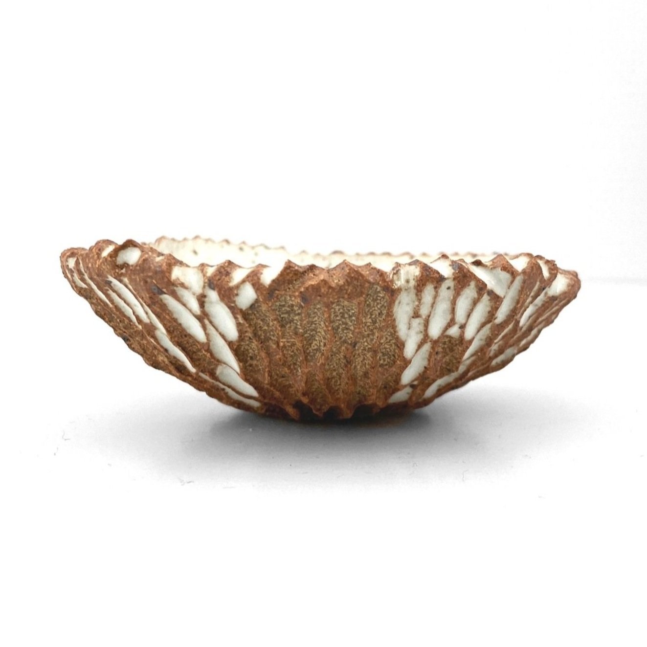 jagged.bowl.62C.jpg