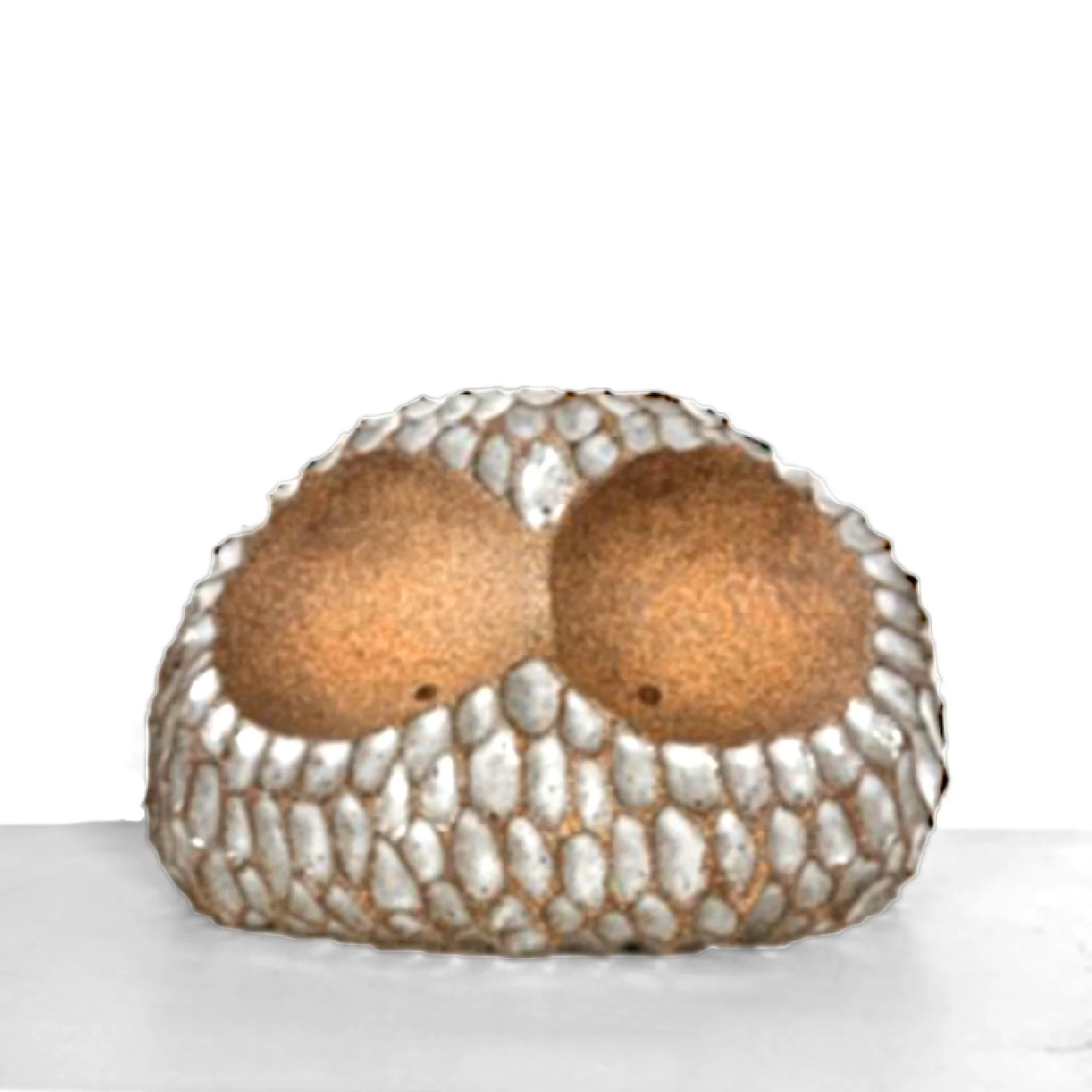 owl2.fieldandsupply.jpg