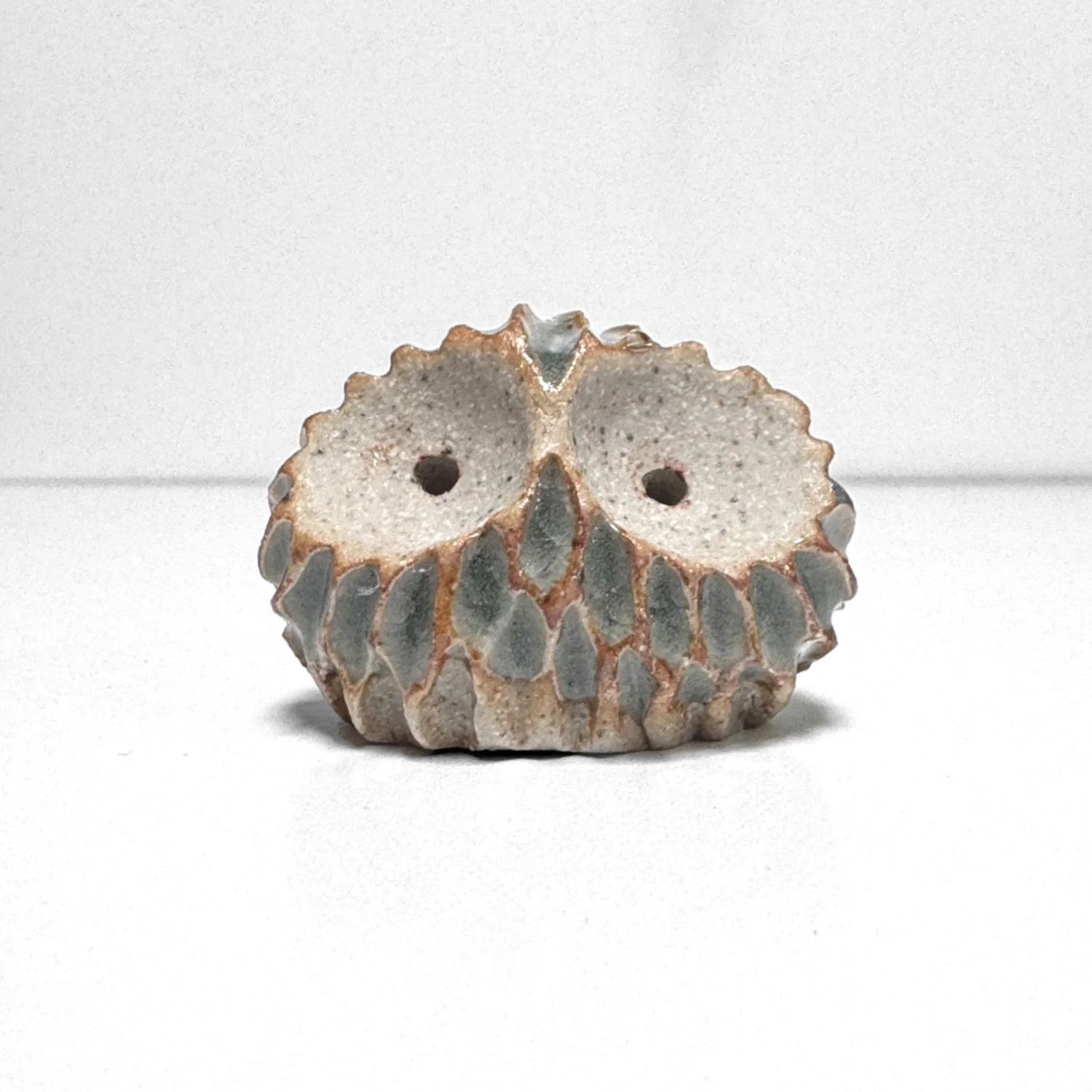 owl 81