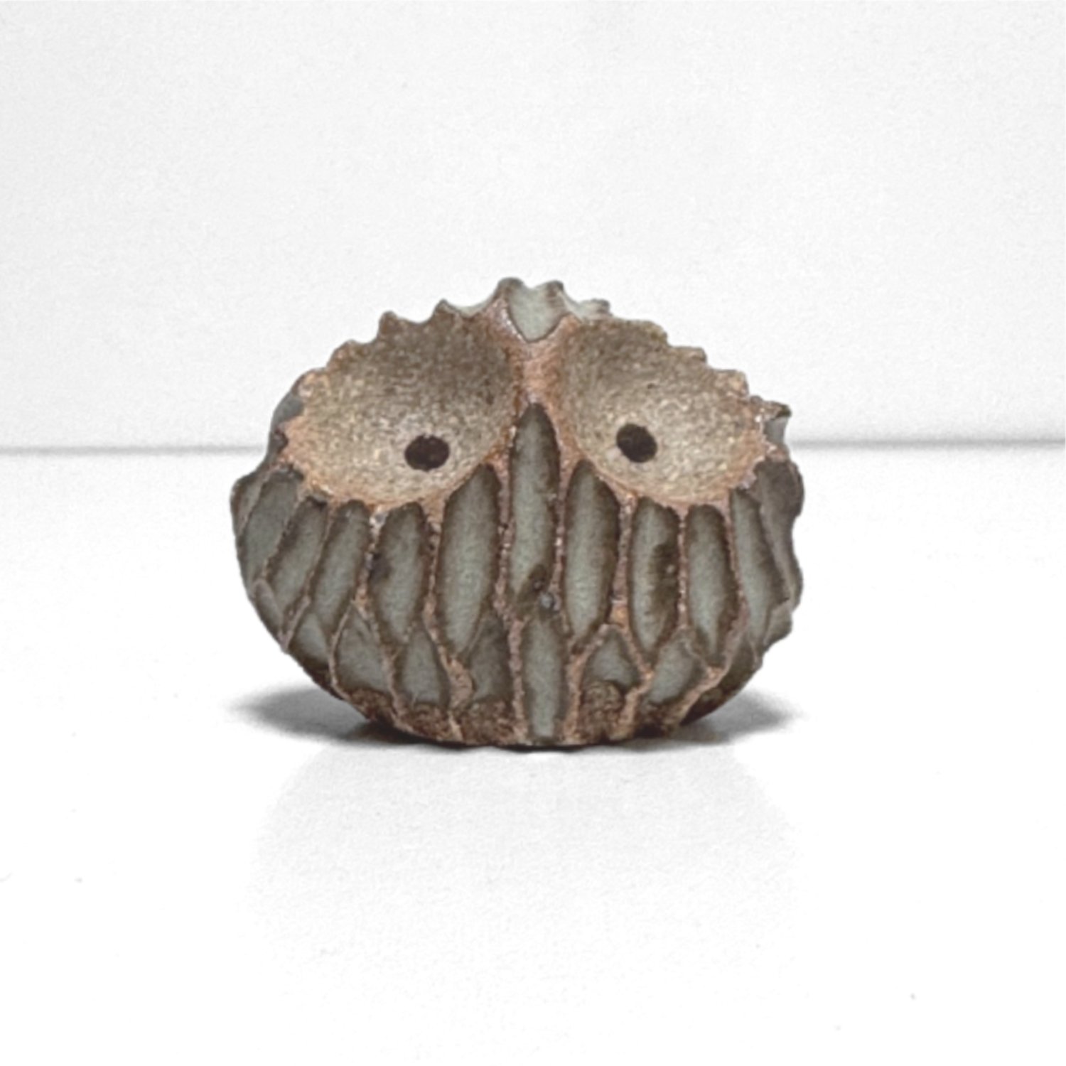 owl 80