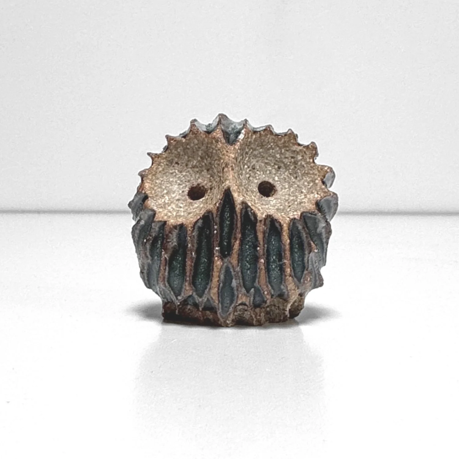 owl 75