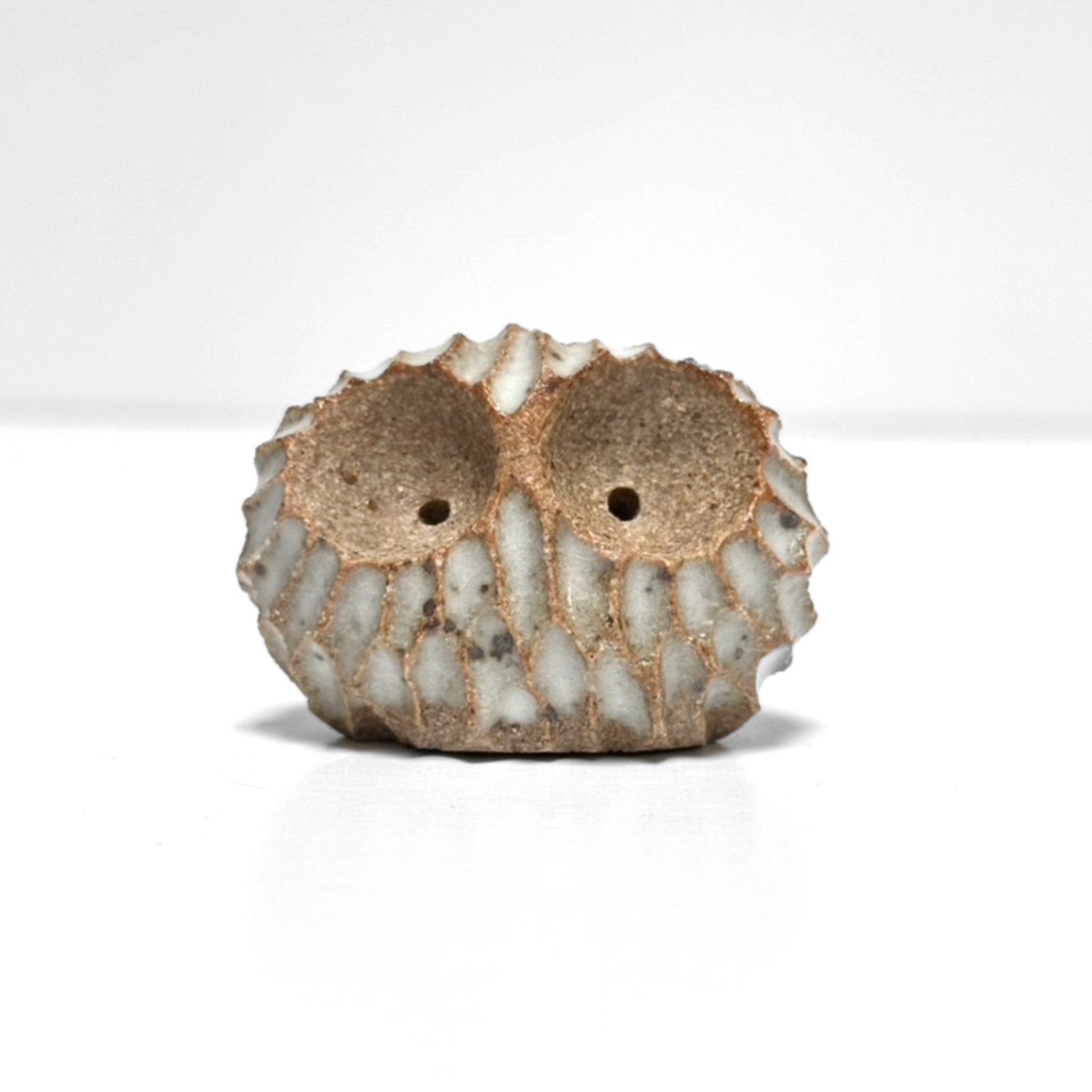 owl 71
