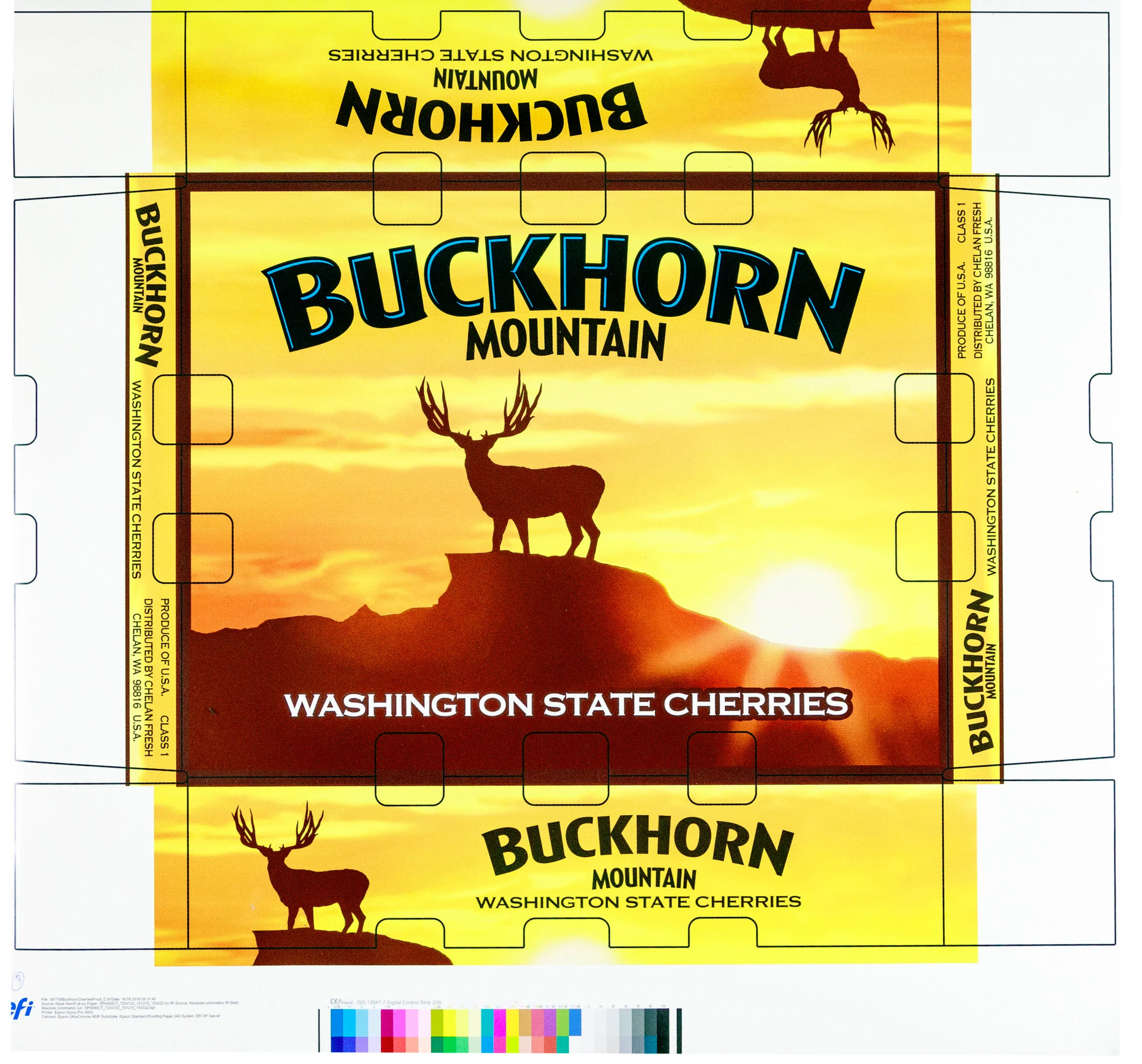 BuckhornEpson.jpg
