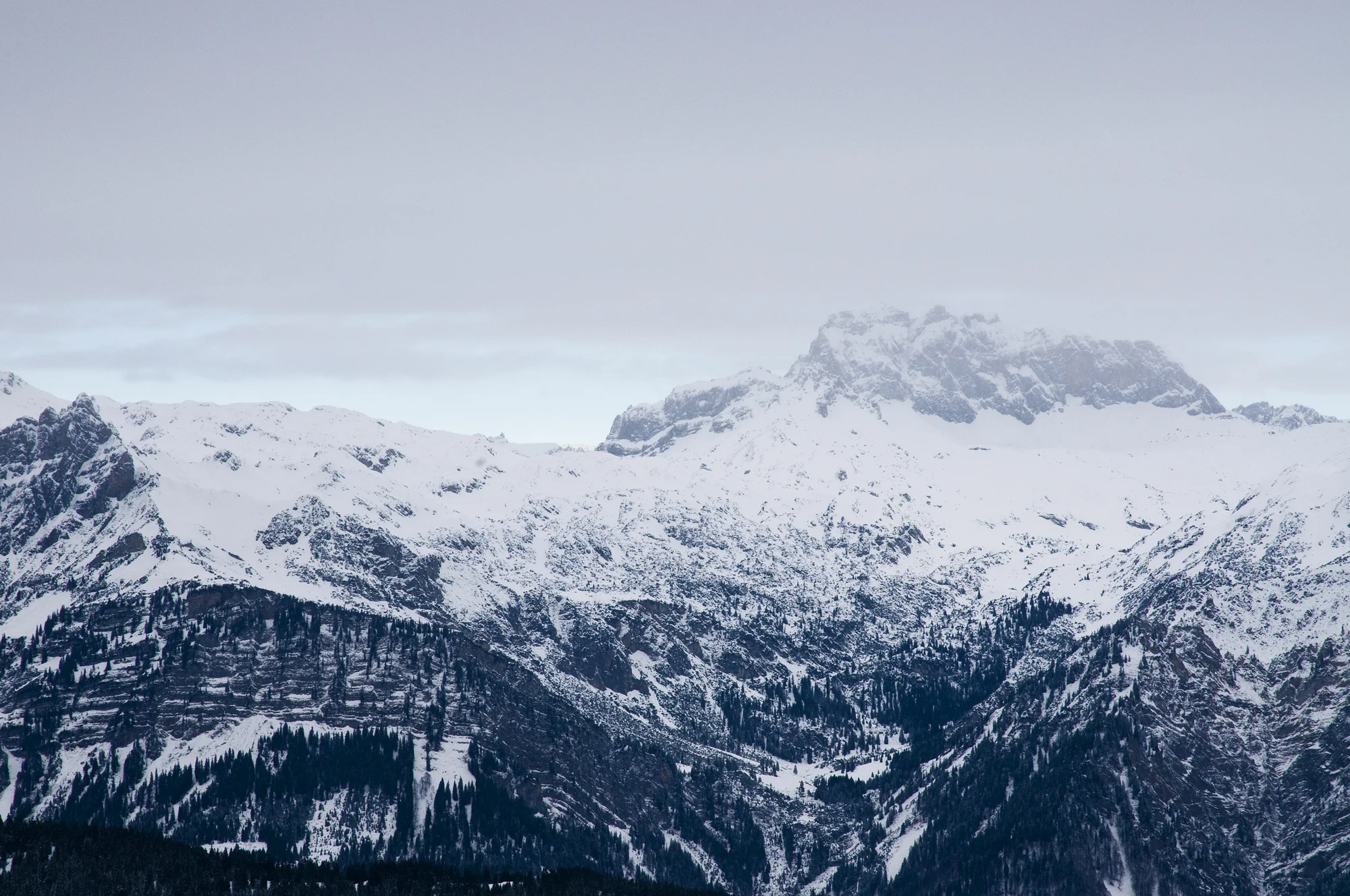 Alpenlichter_MarieLuiseKlotz_11.jpg