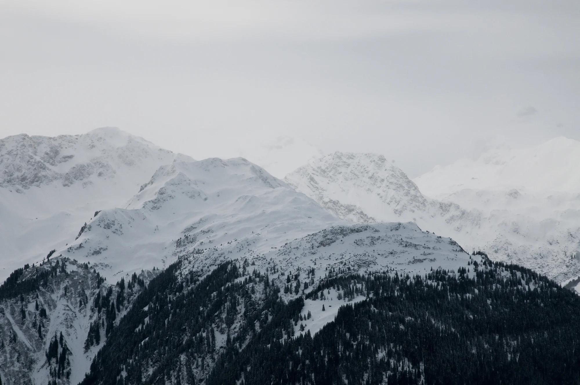 Alpenlichter_MarieLuiseKlotz_14.jpg
