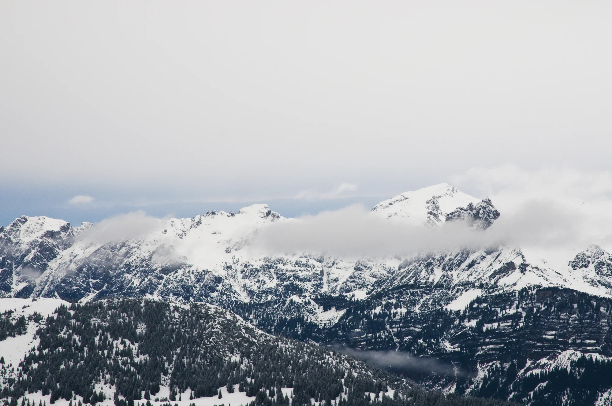 Alpenlichter_MarieLuiseKlotz_22.jpg