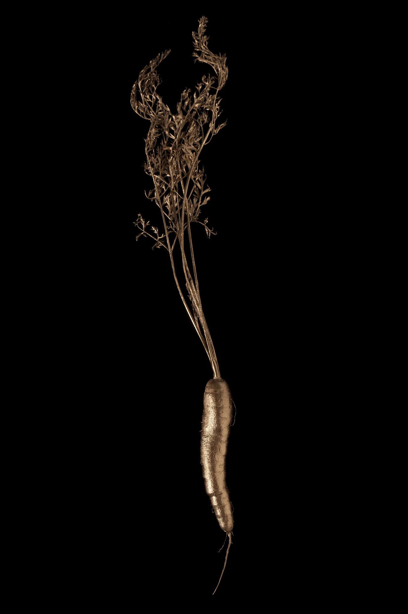 Goldwert_Vol6_MarieLuiseKlotz_5.jpg