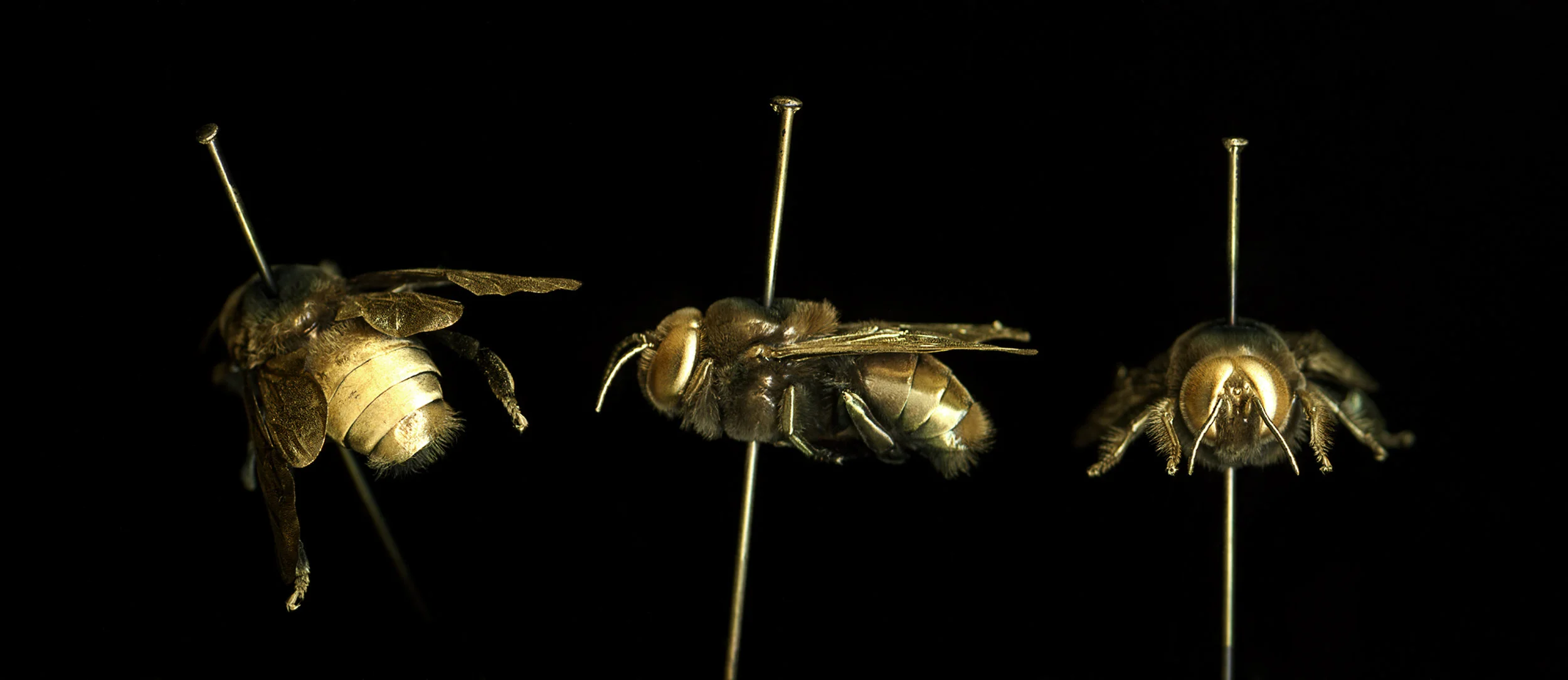 Goldwert_Vol6_MarieLuiseKlotz_13.jpg