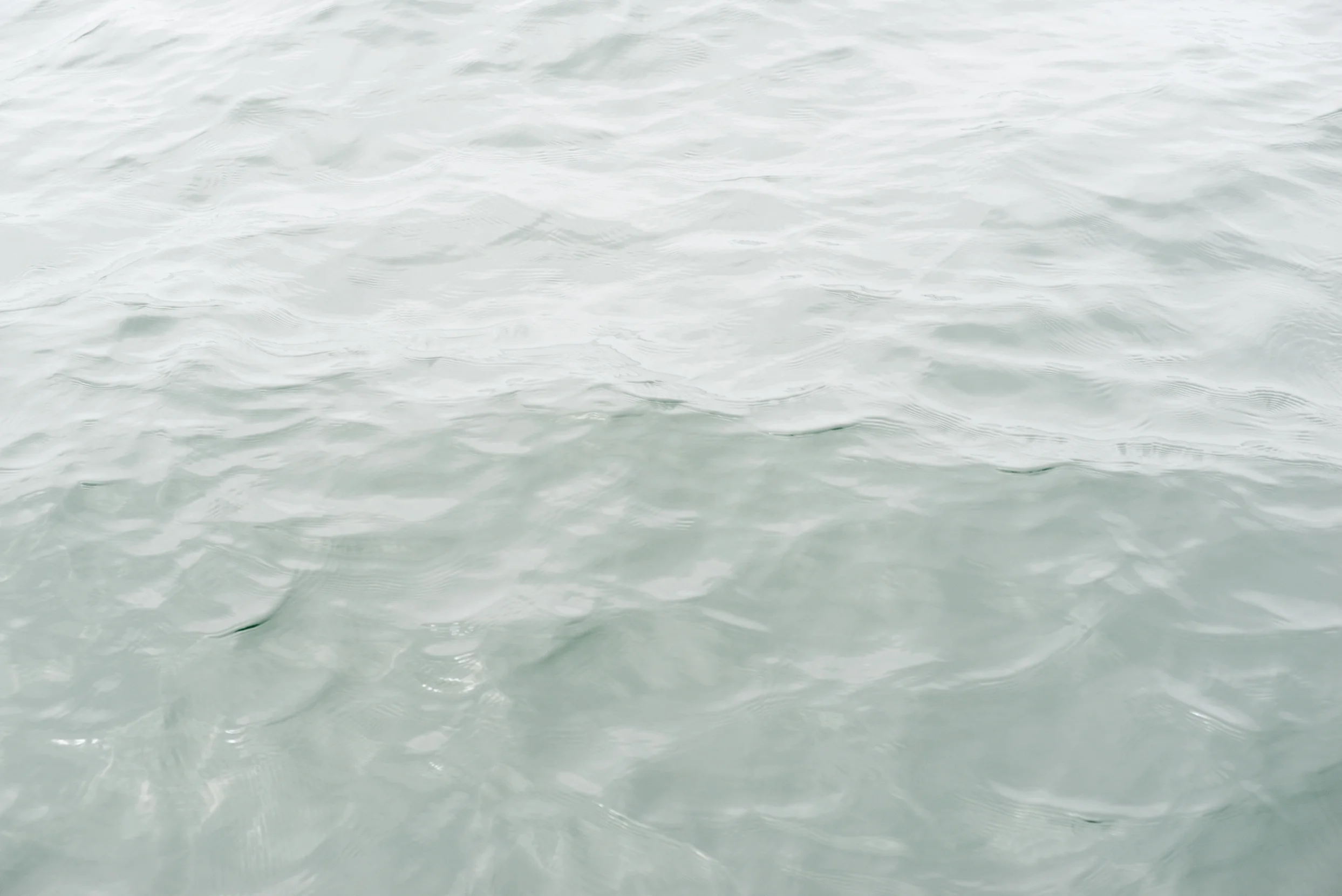 2017_Equilibrium_7_2500px.jpg