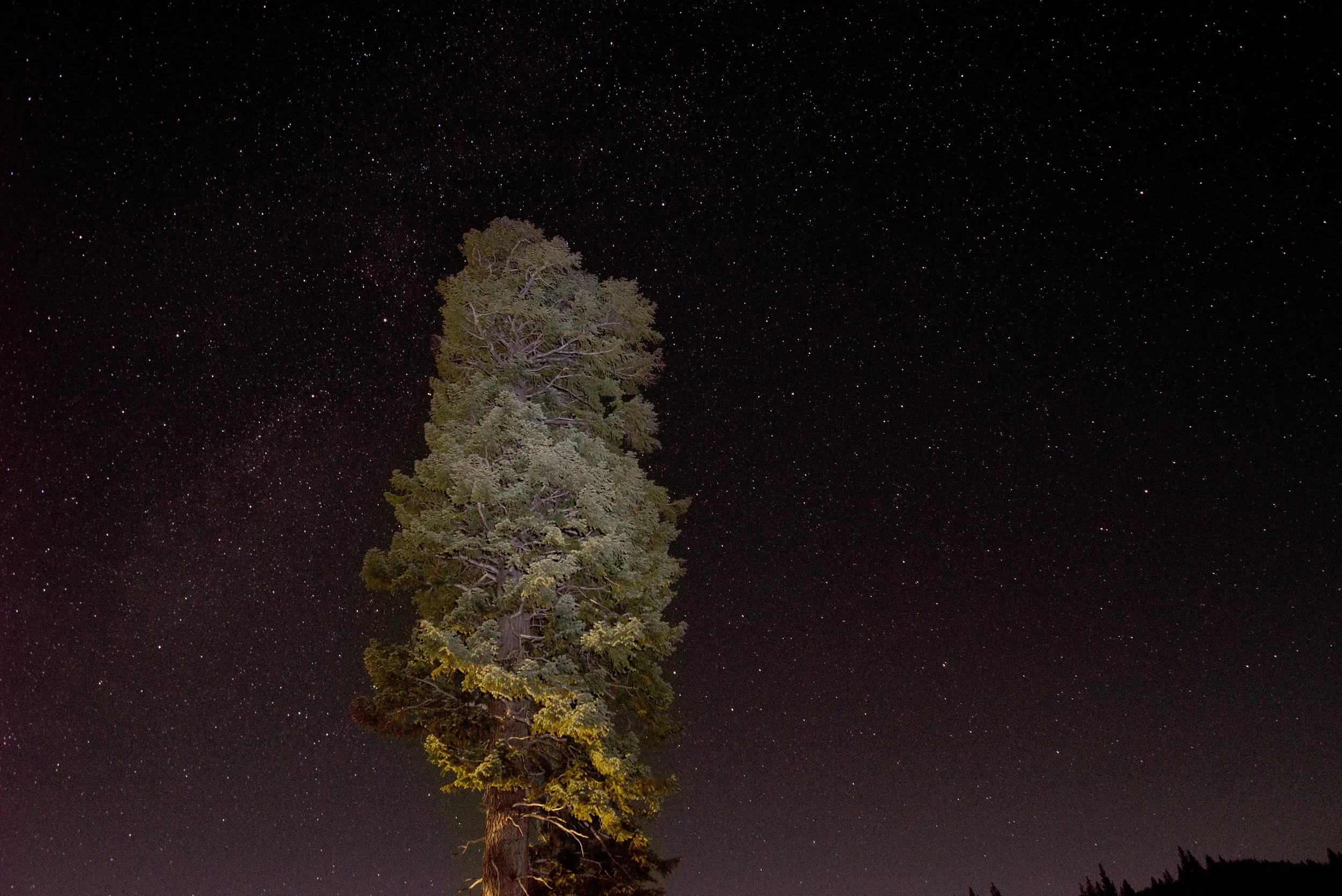 2017_10_Sierra_Nevada_2_v2_2000px.jpg