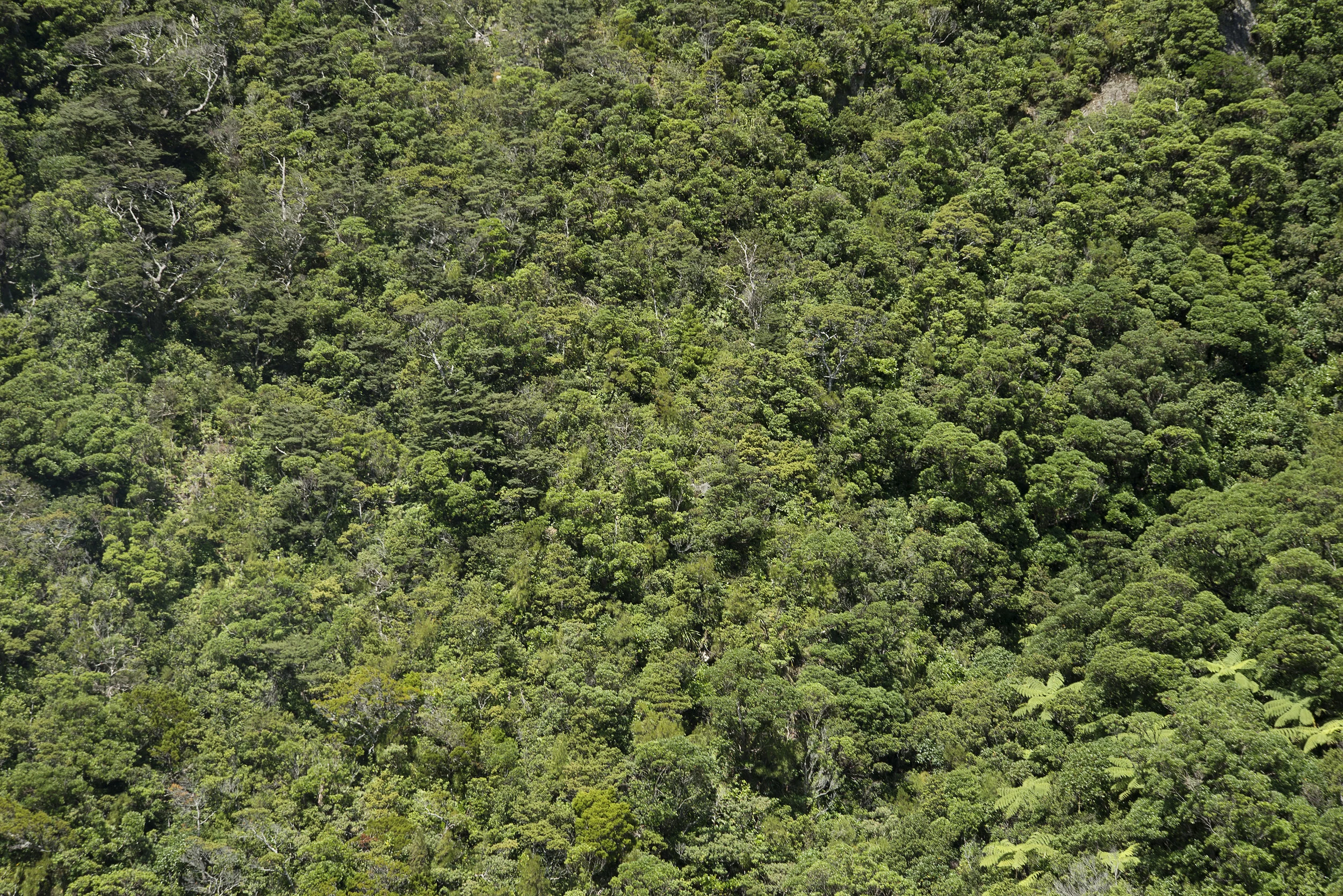 2019_2_NewZealand_18_2000px.jpg