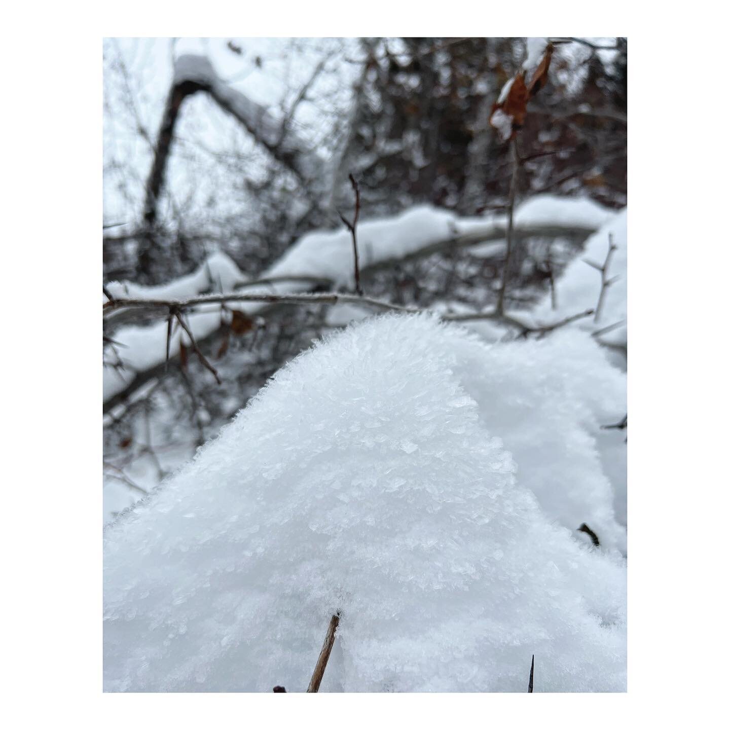 Enchanting ice crystals trail side. It&rsquo;s that time of year; observing the micro spectacle of all the different shapes snow and ice can take. 
.
.
.
#snowscape #icescape #winterlandscape #winterscape #snowcrystals #icecrystals