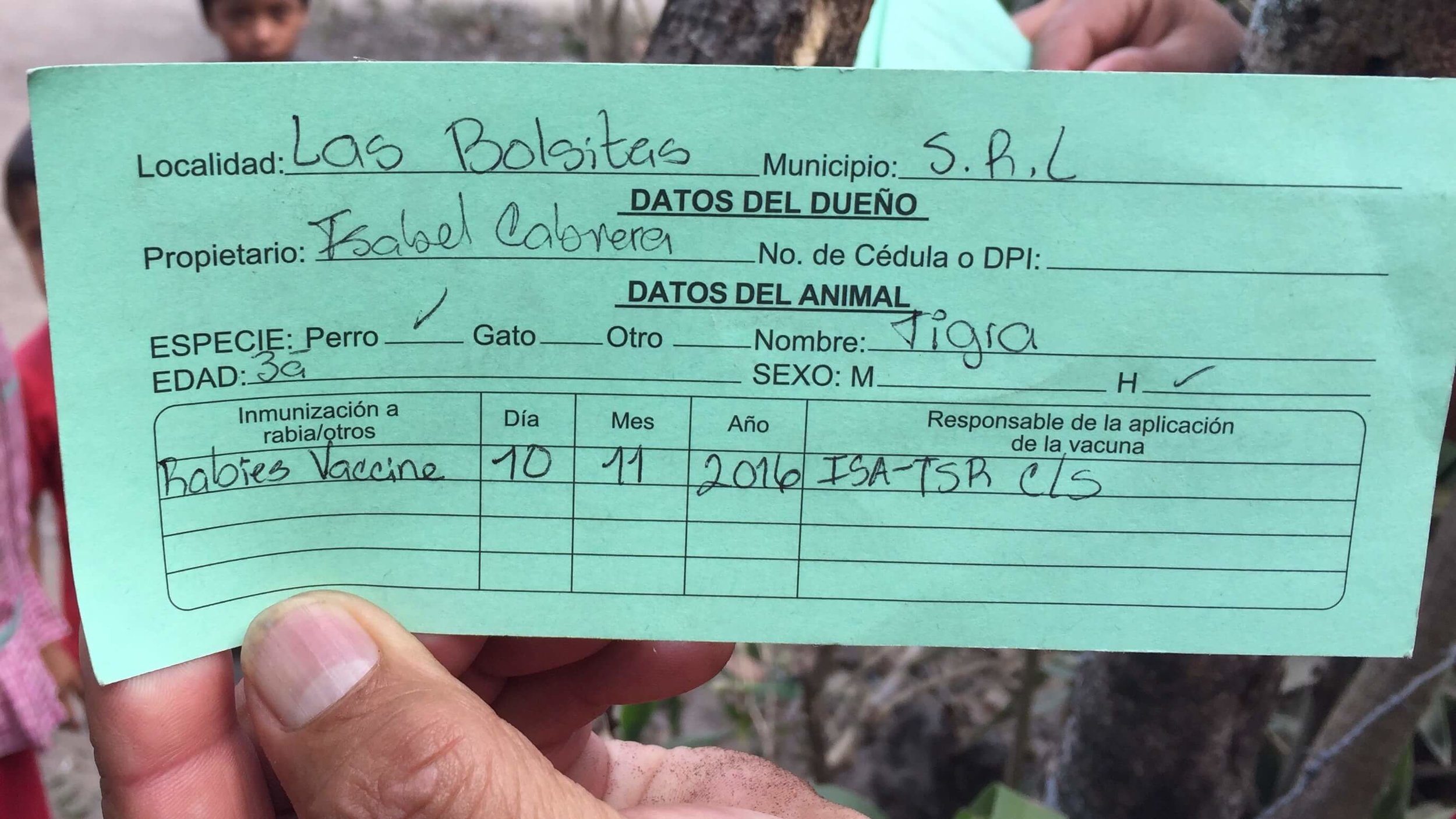 Tigra's Rabies Vaccination Certificate