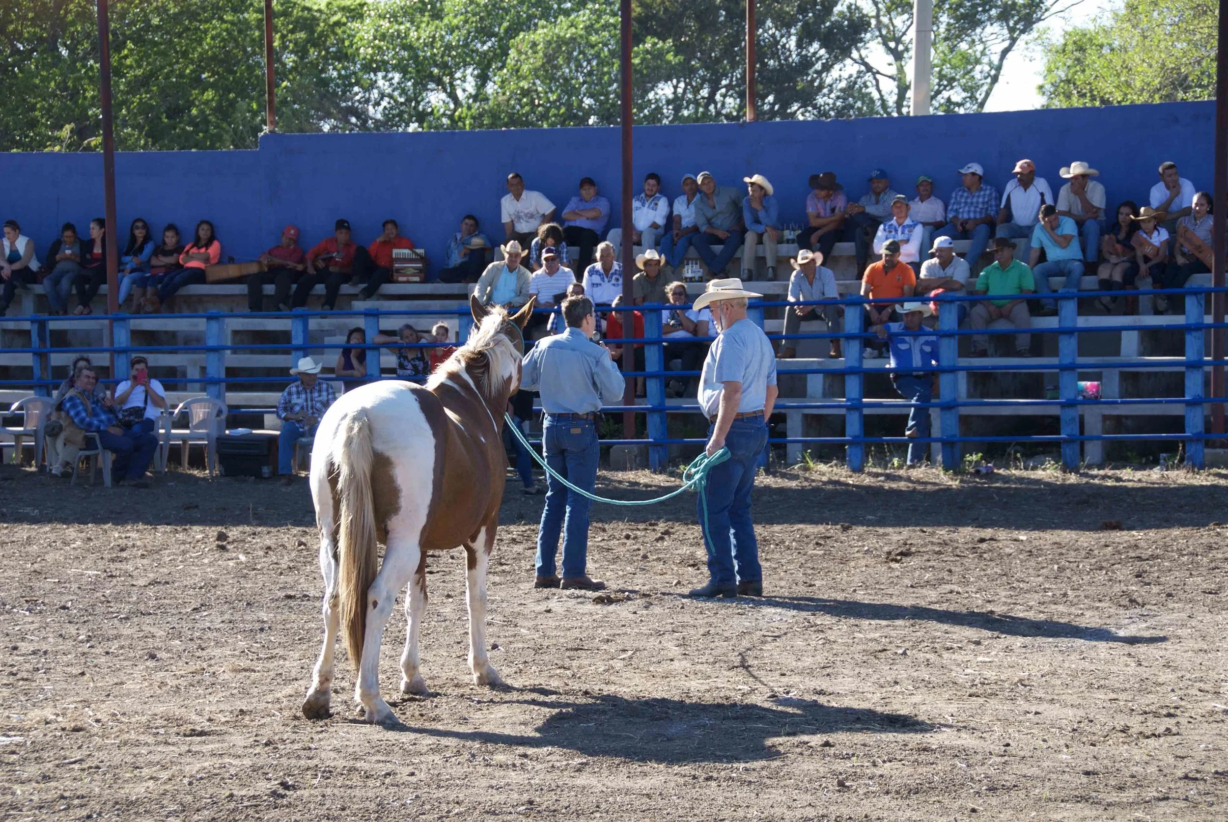 Steve Reed (left) provides live translation as Sam Anderson demos a horse training exercise interwoven with a message about our own reluctance to surrender and let God lead us.