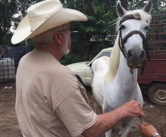 Sam Anderson sizes up a horse in Guatemala with our equine therapy team in search of a horse to start a new program this year in Guatemala.