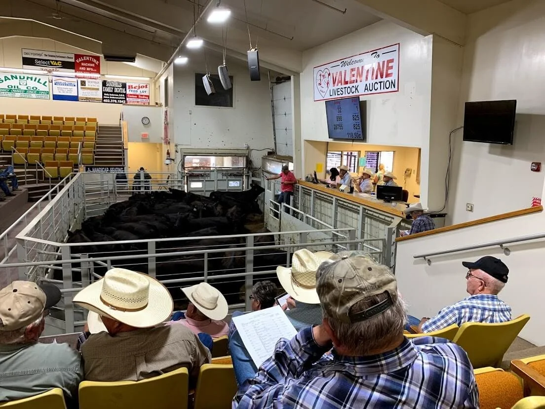 You can’t go to Valentine without checking out the livestock auction at the sale barn! From time to time, Lawrence Turner and his friends have had cowboy church here.