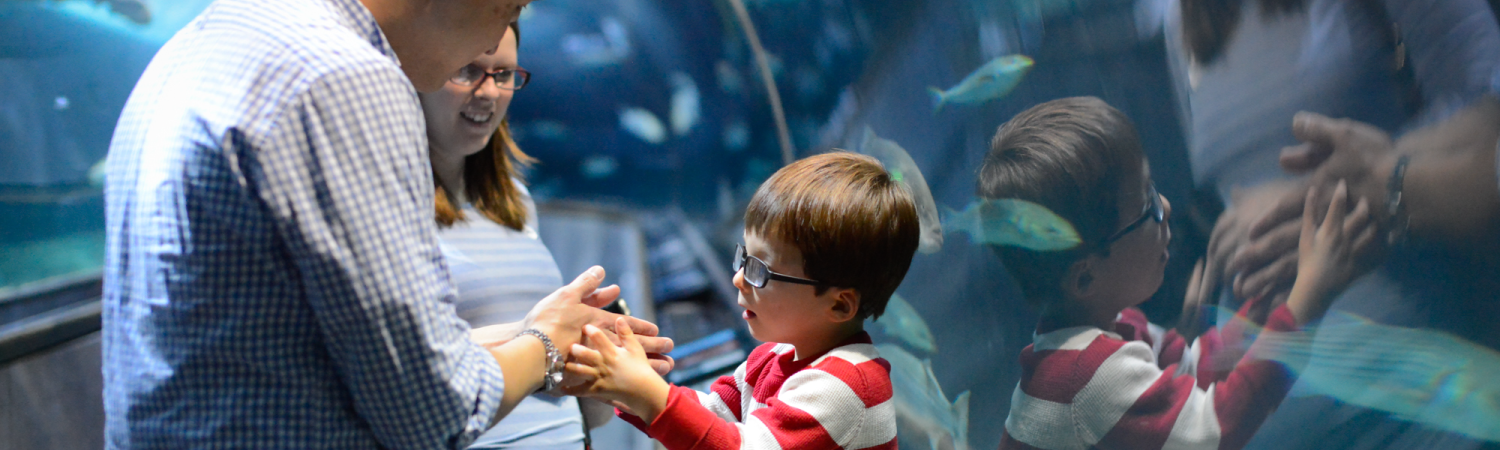 homepage.banner.familyinaquariumtunnelcropped.png