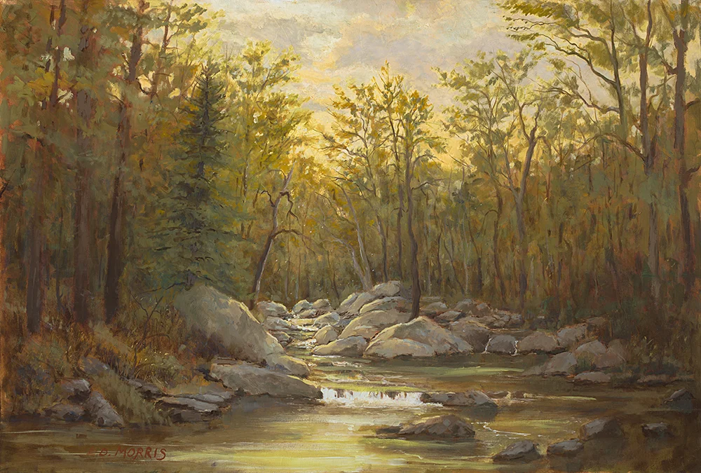 Evening Light - Broad River