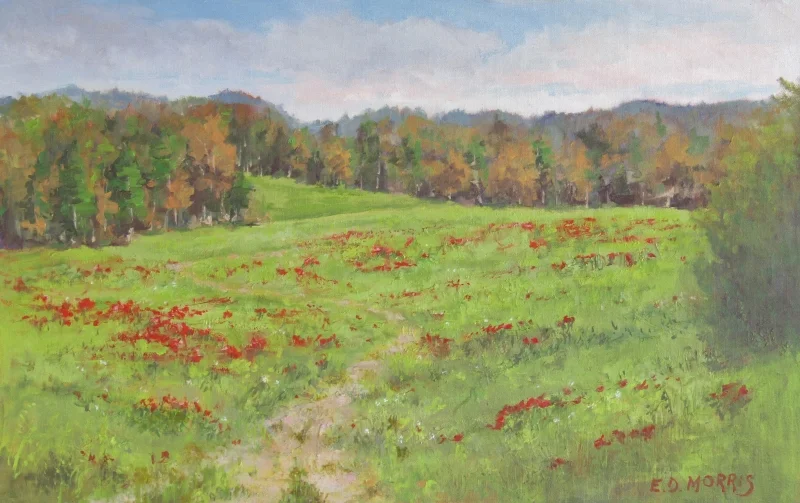 Touch of Fall