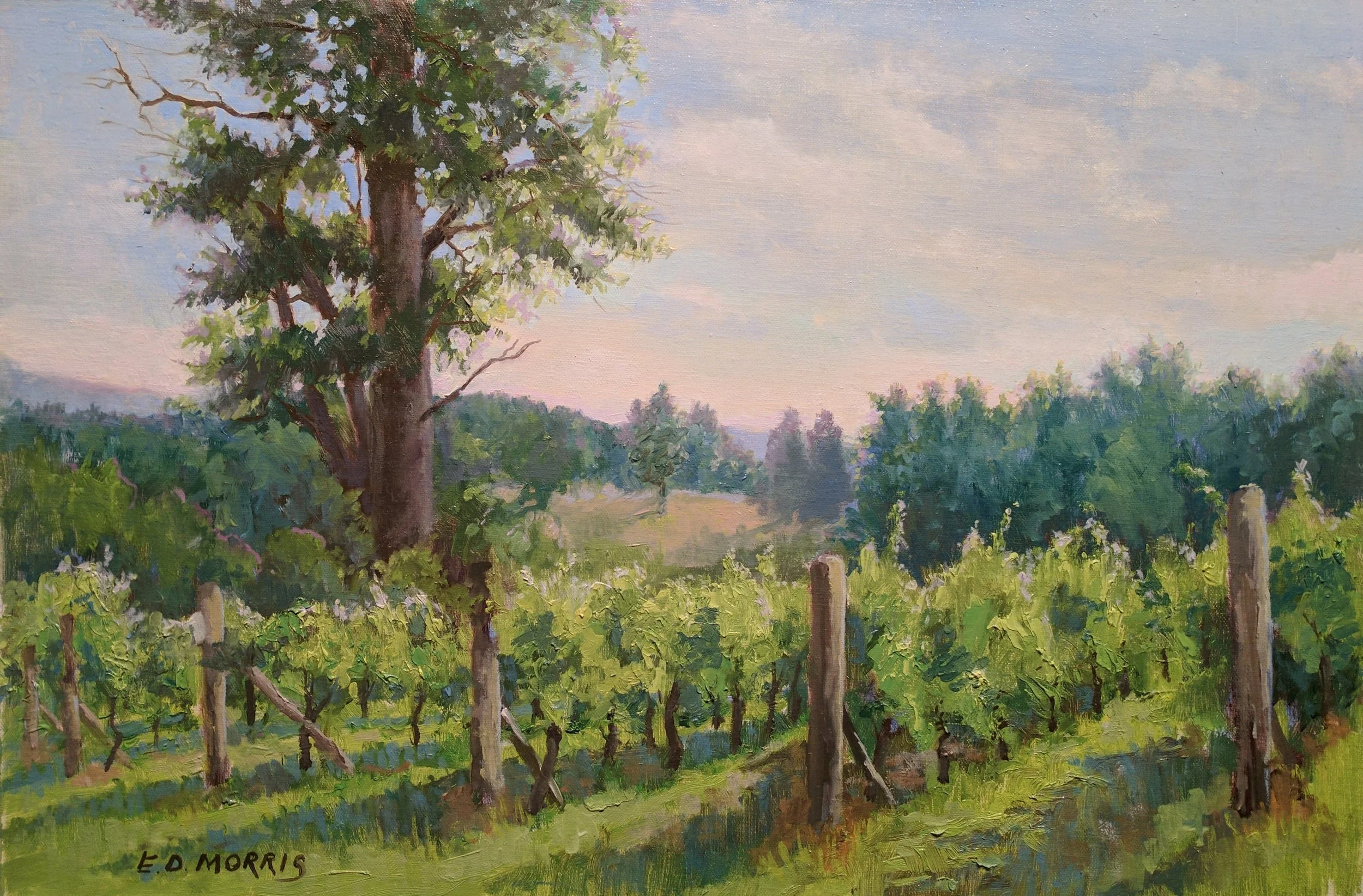Addison Winery Summer Morning