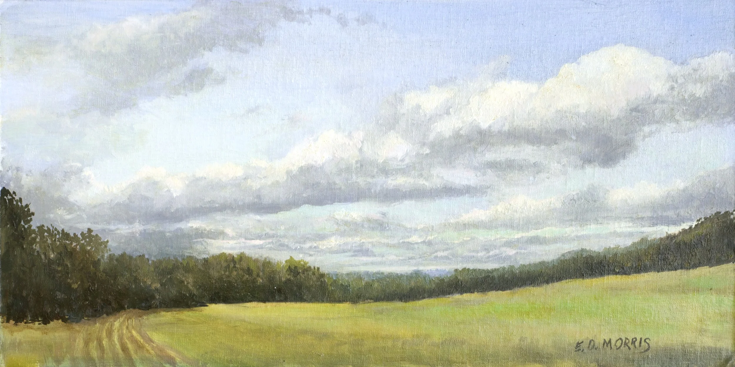 Biltmore Afternoon