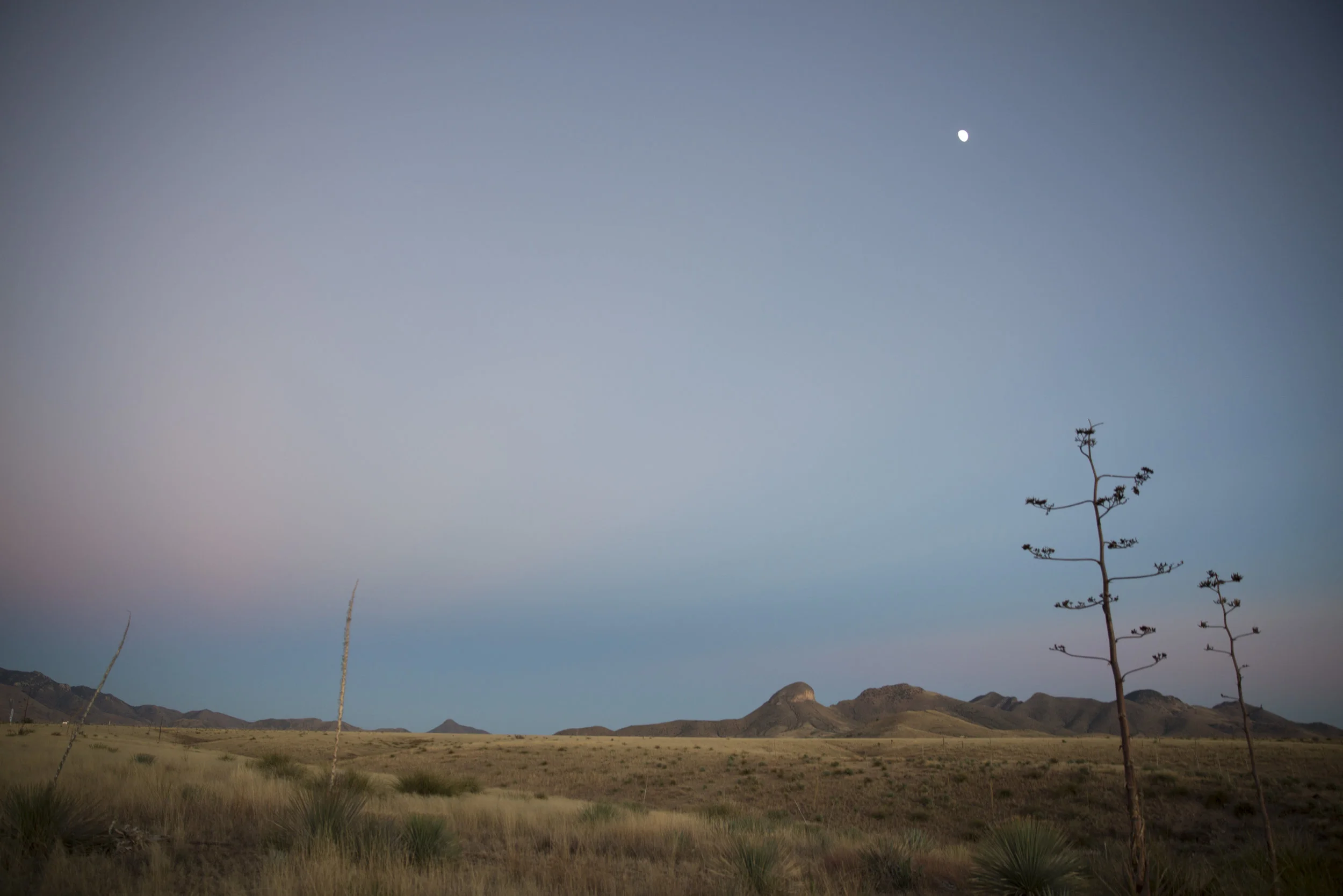 sunset desert_0403.jpg