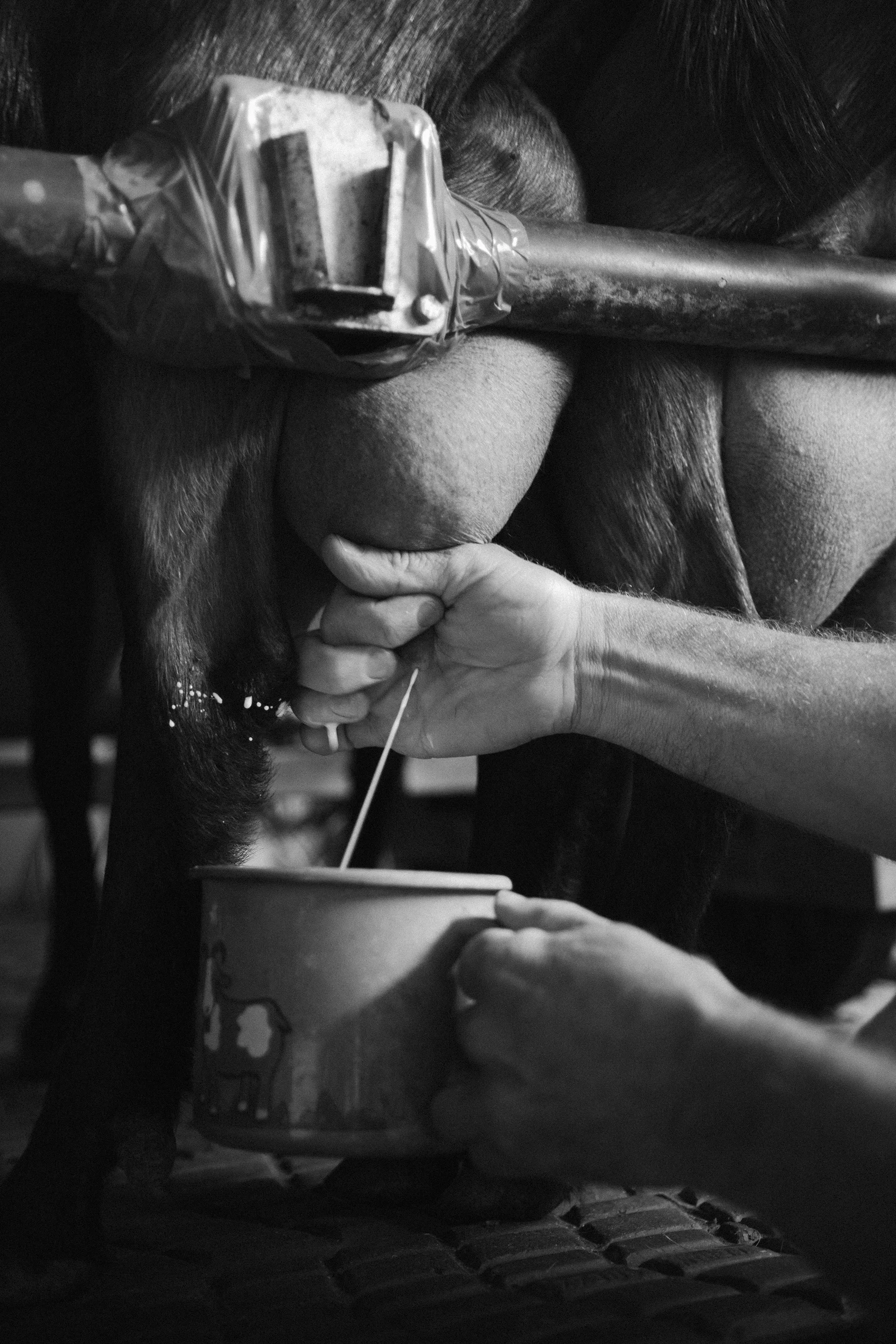 day4_8344_bw.jpg