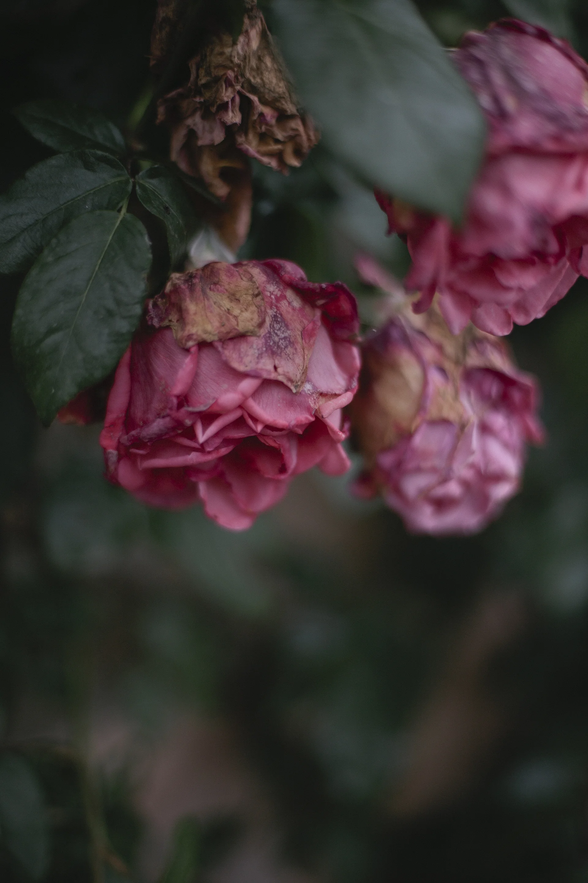 day5_9122.jpg