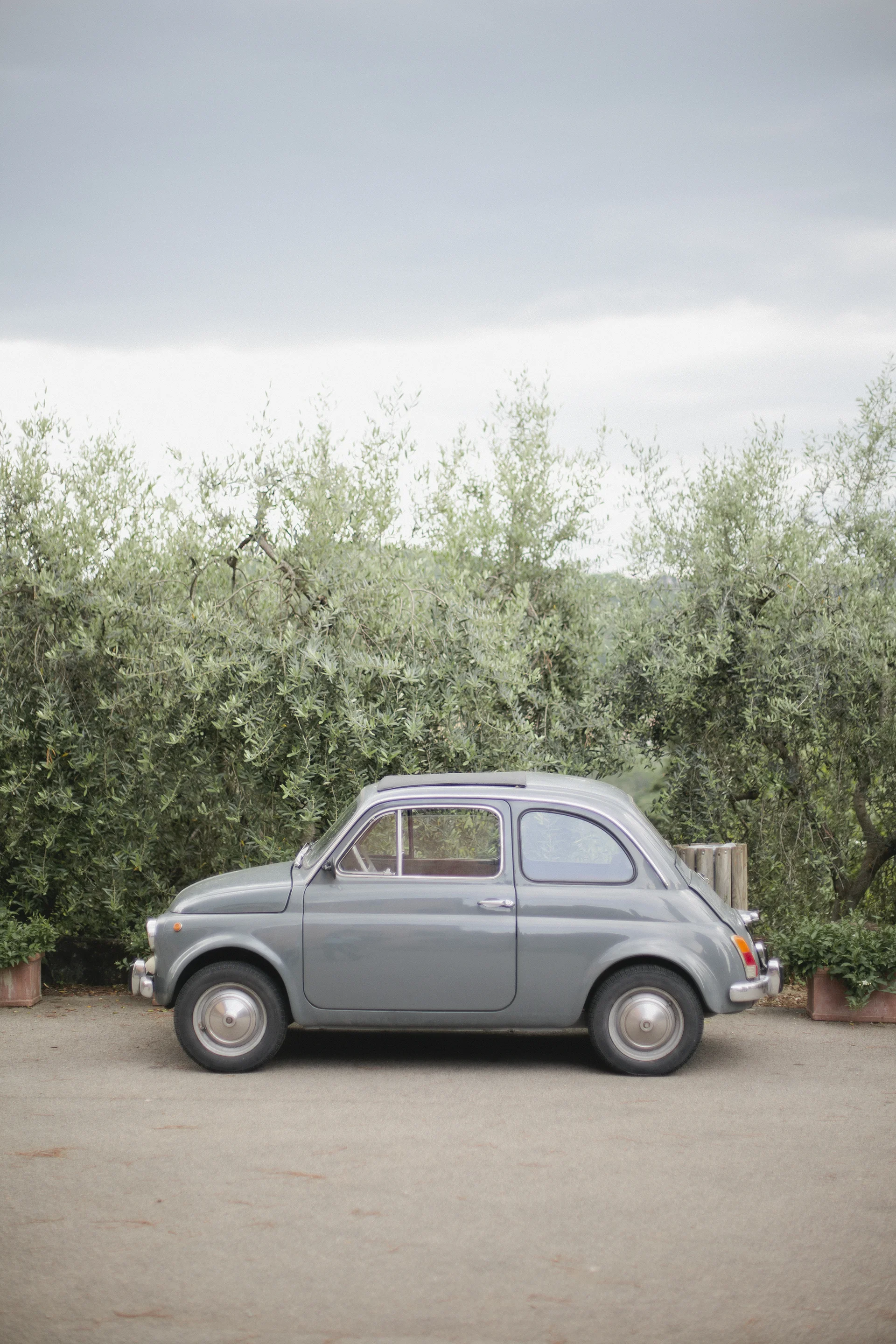day5_9106.jpg