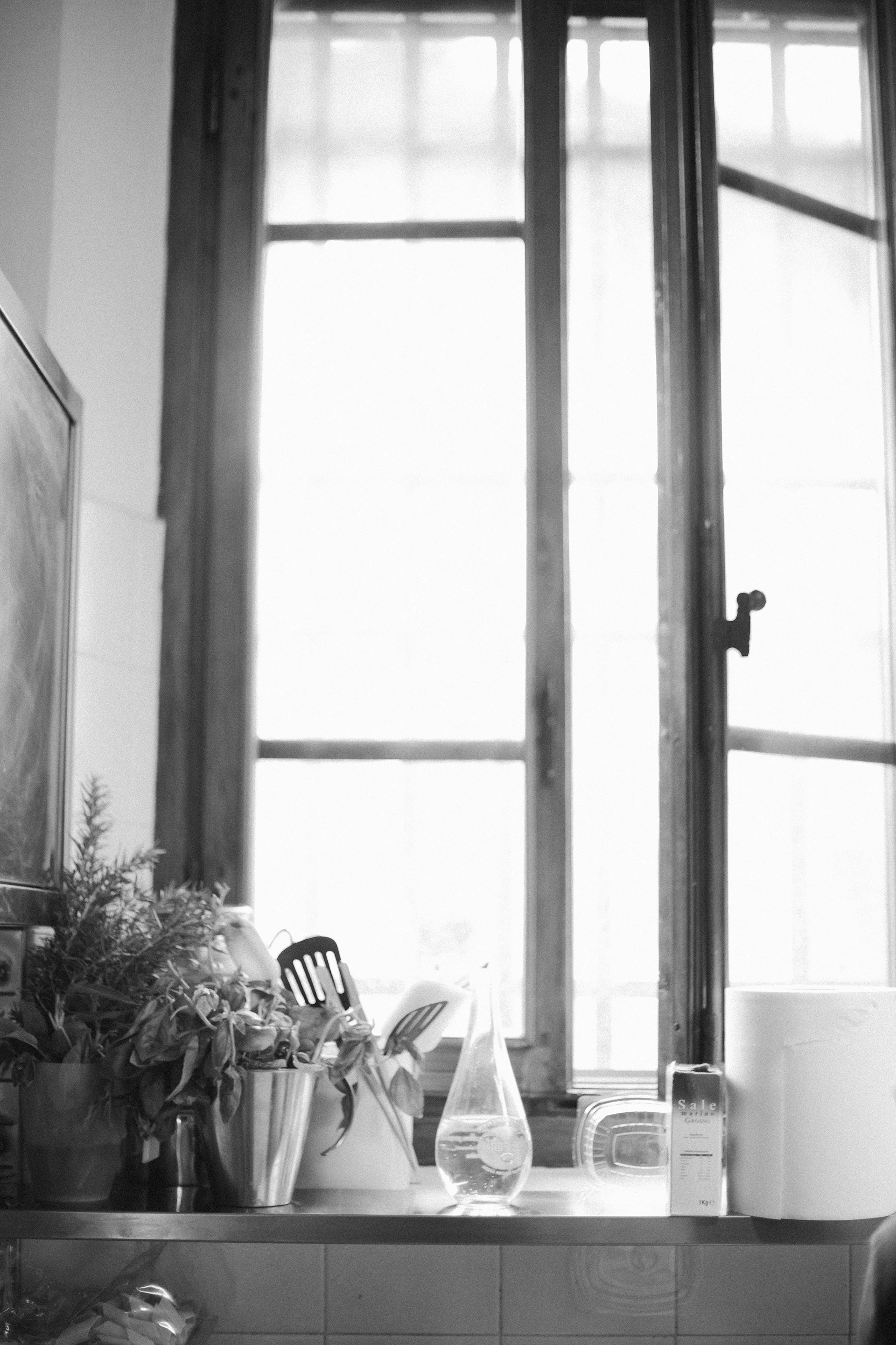 day6_9773.jpg