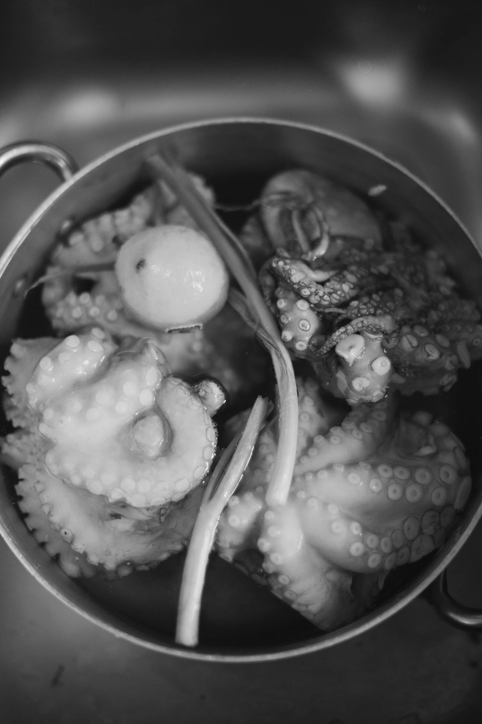 day6_9779.jpg