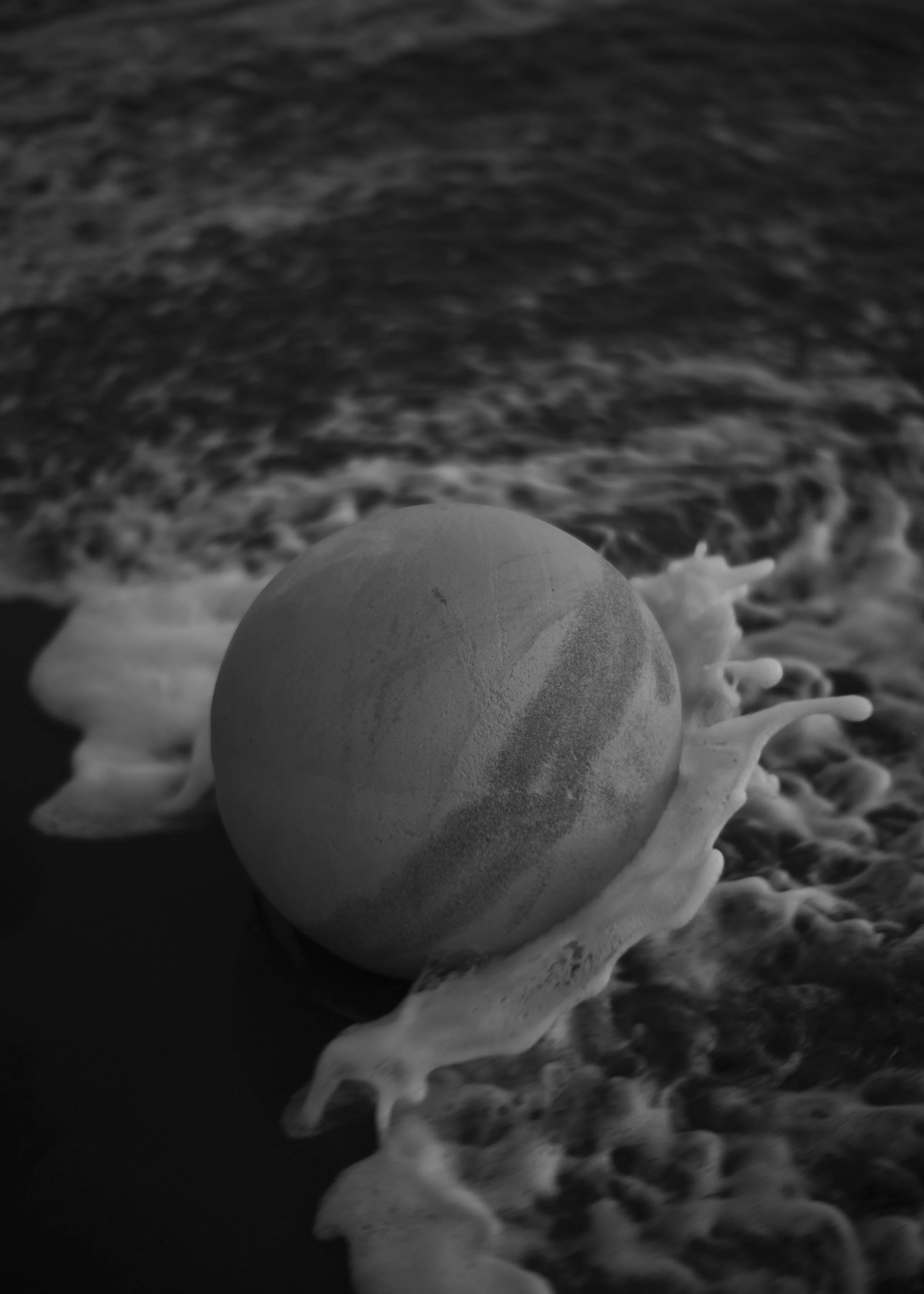 L1002555.jpg