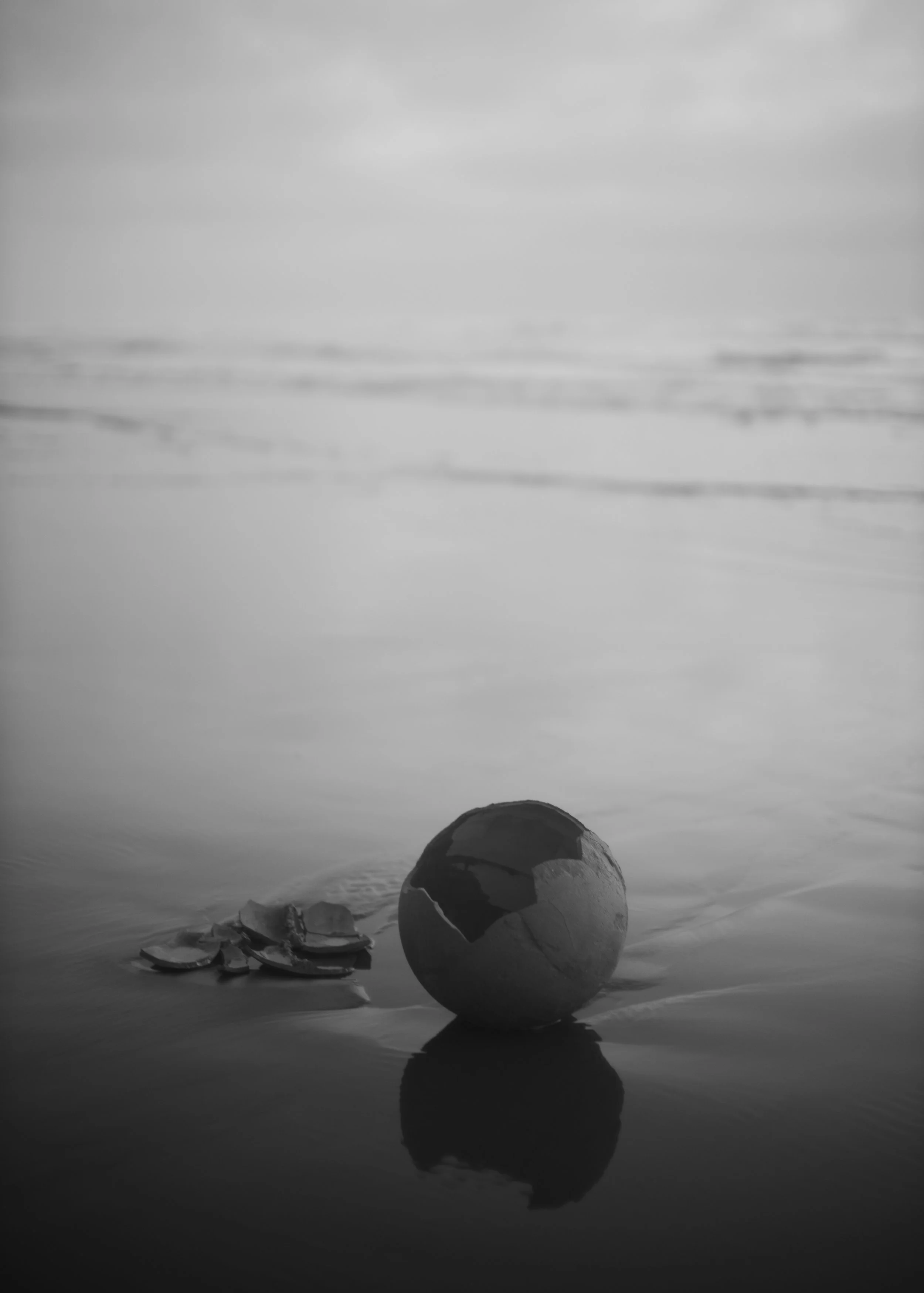 L1002645.jpg
