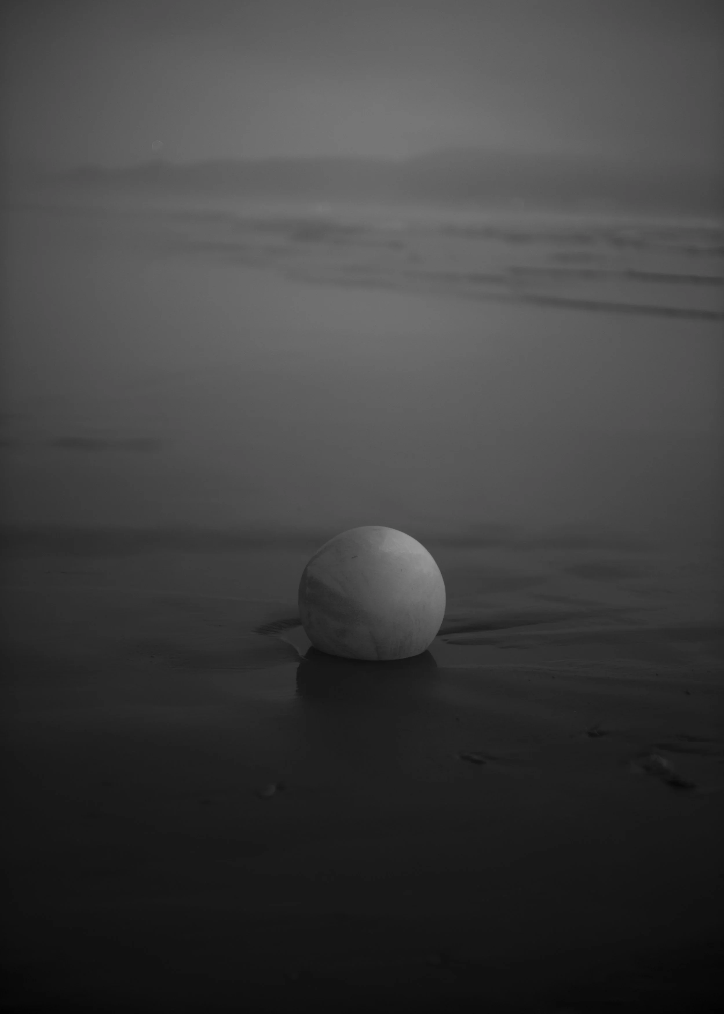 L1002670.jpg