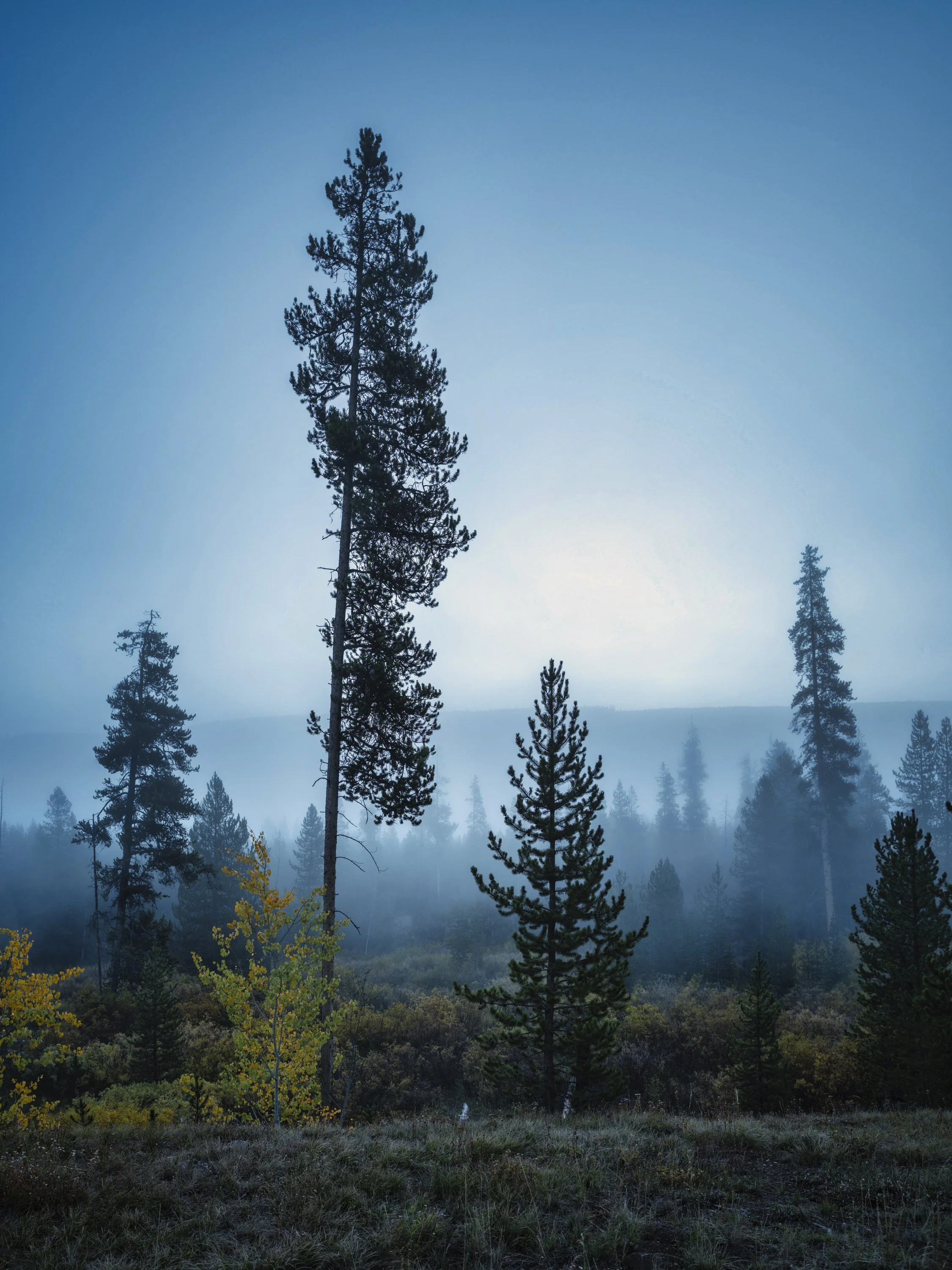 L1001506-Pano.jpeg