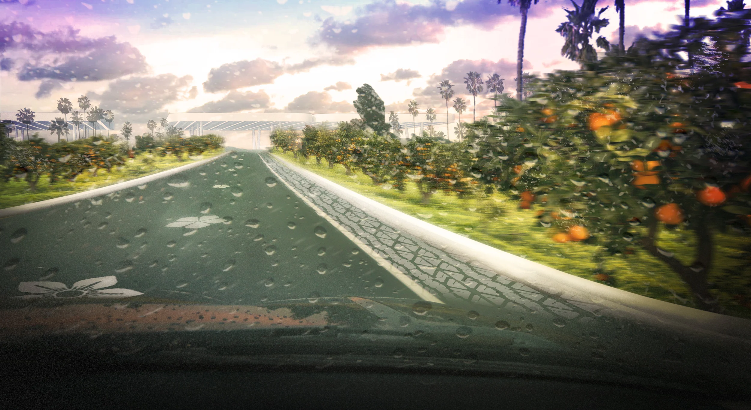 20150428_orchard.jpg
