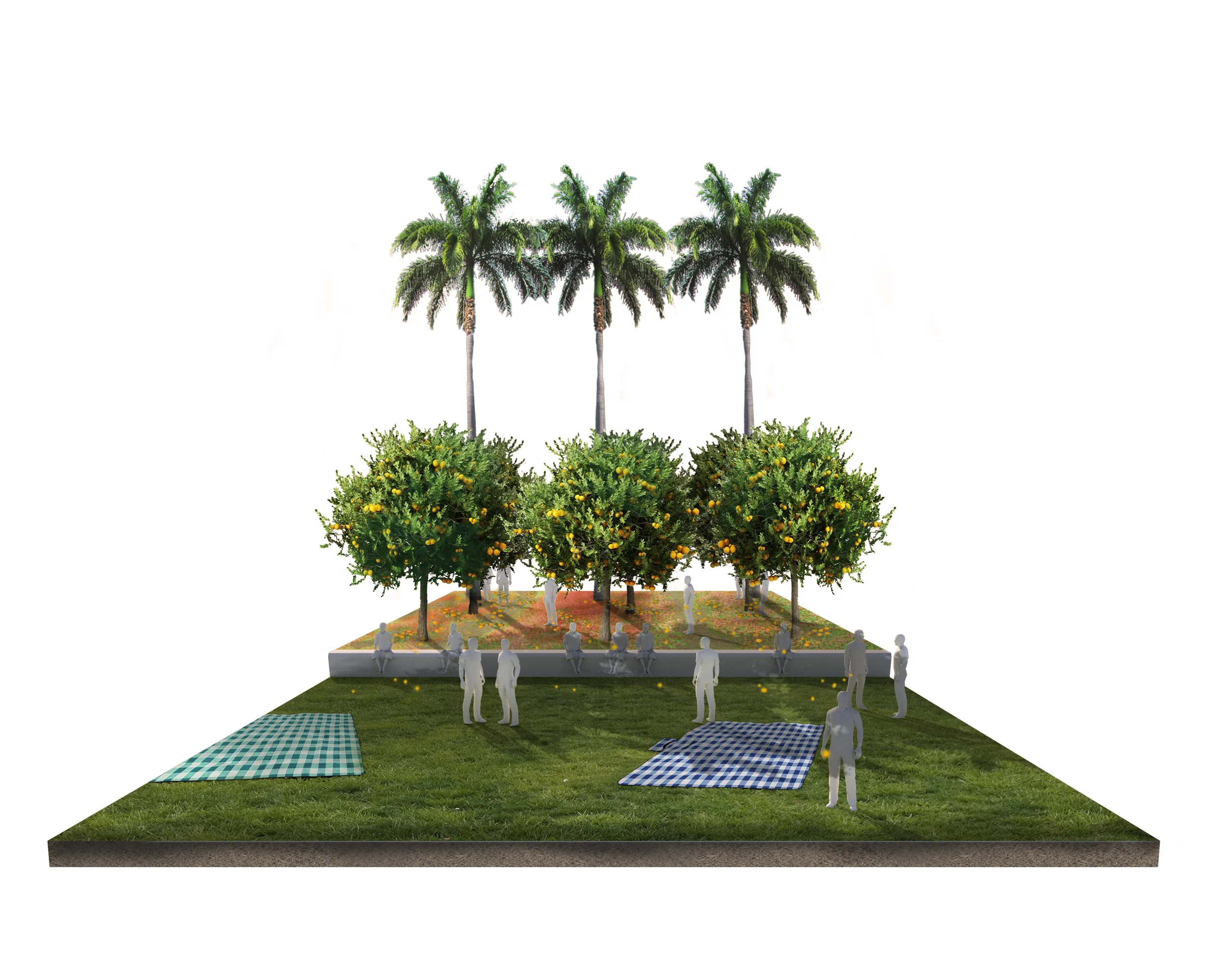 20141207_garden_axon orchard.jpg