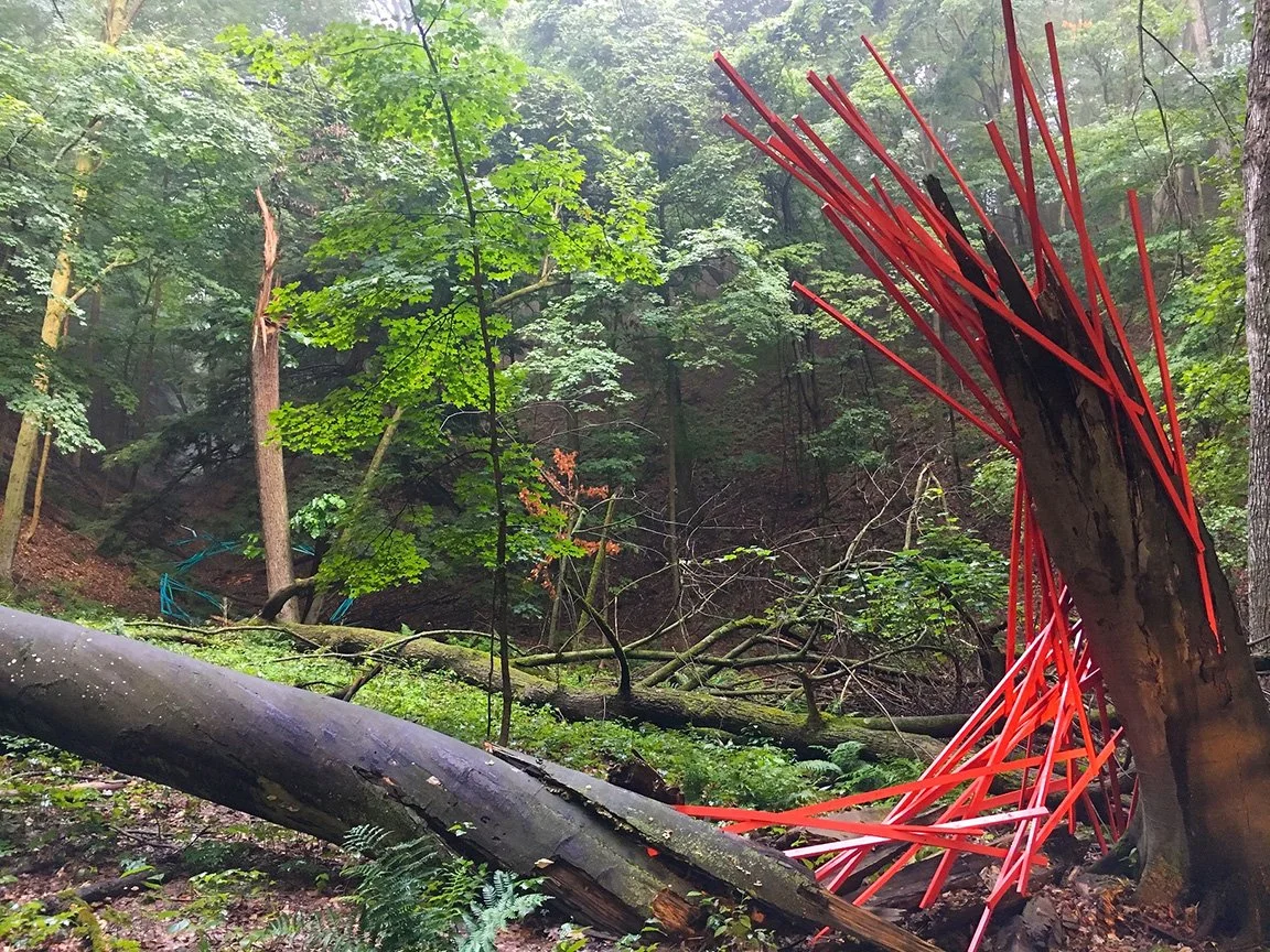 Sketch in Red with Blue in Background.jpg