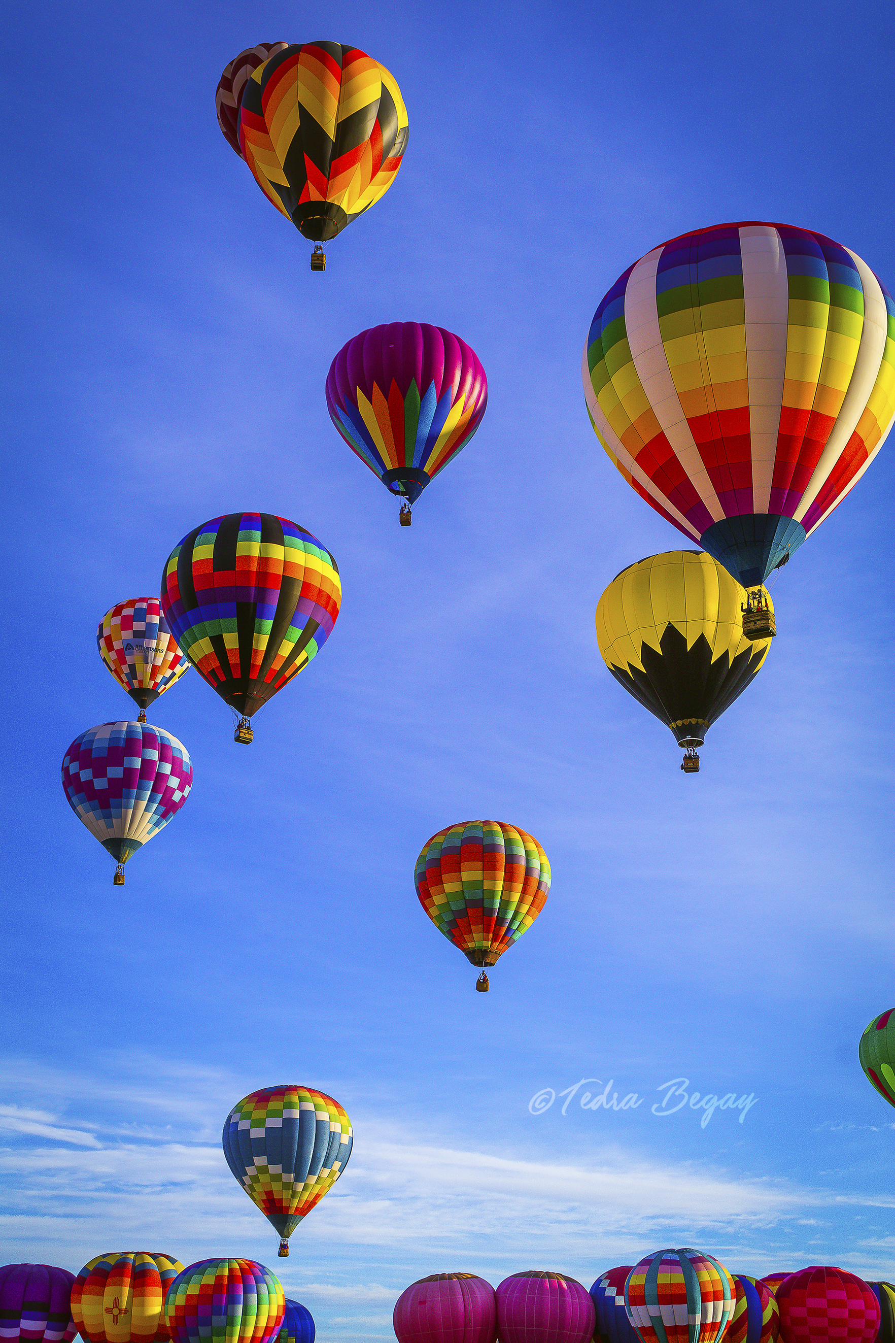 Balloon_Fiesta-16.jpg
