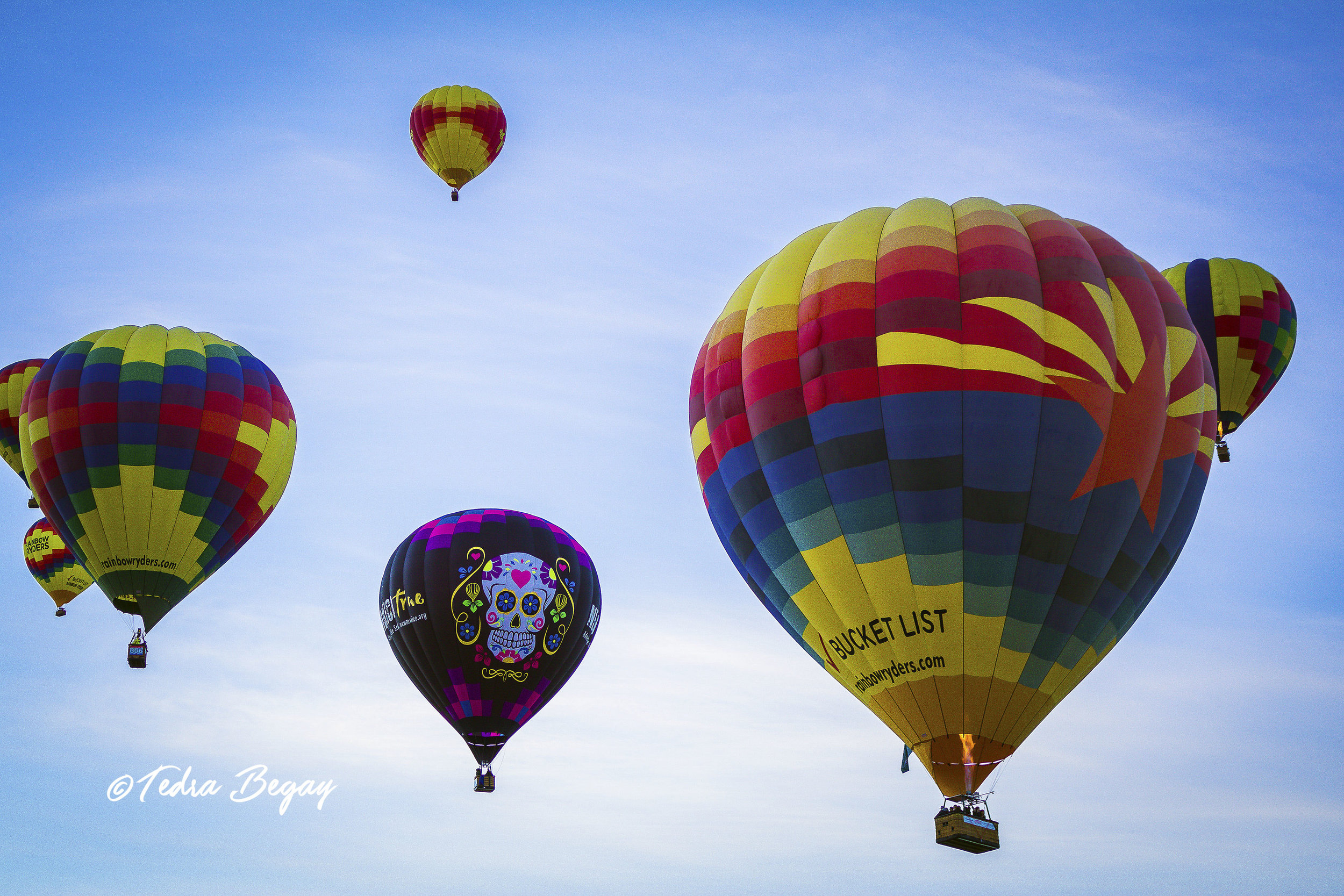 Balloon_Fiesta-4.jpg