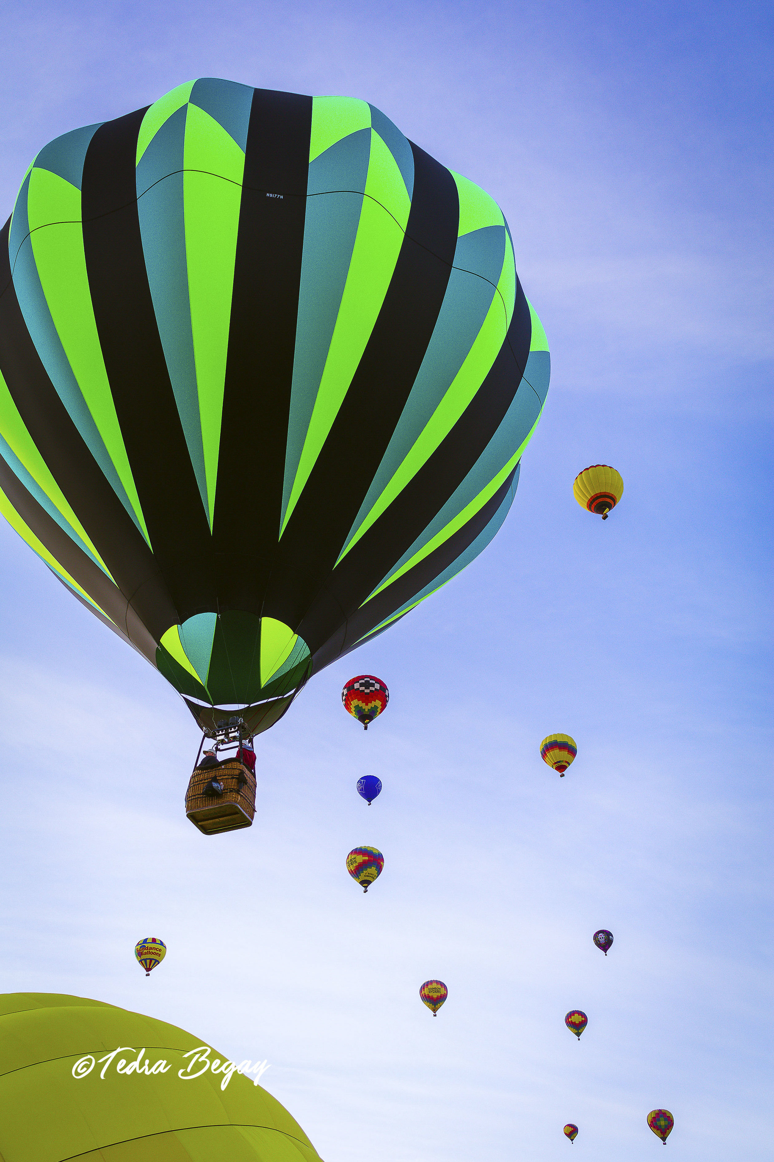 Balloon_Fiesta-7.jpg