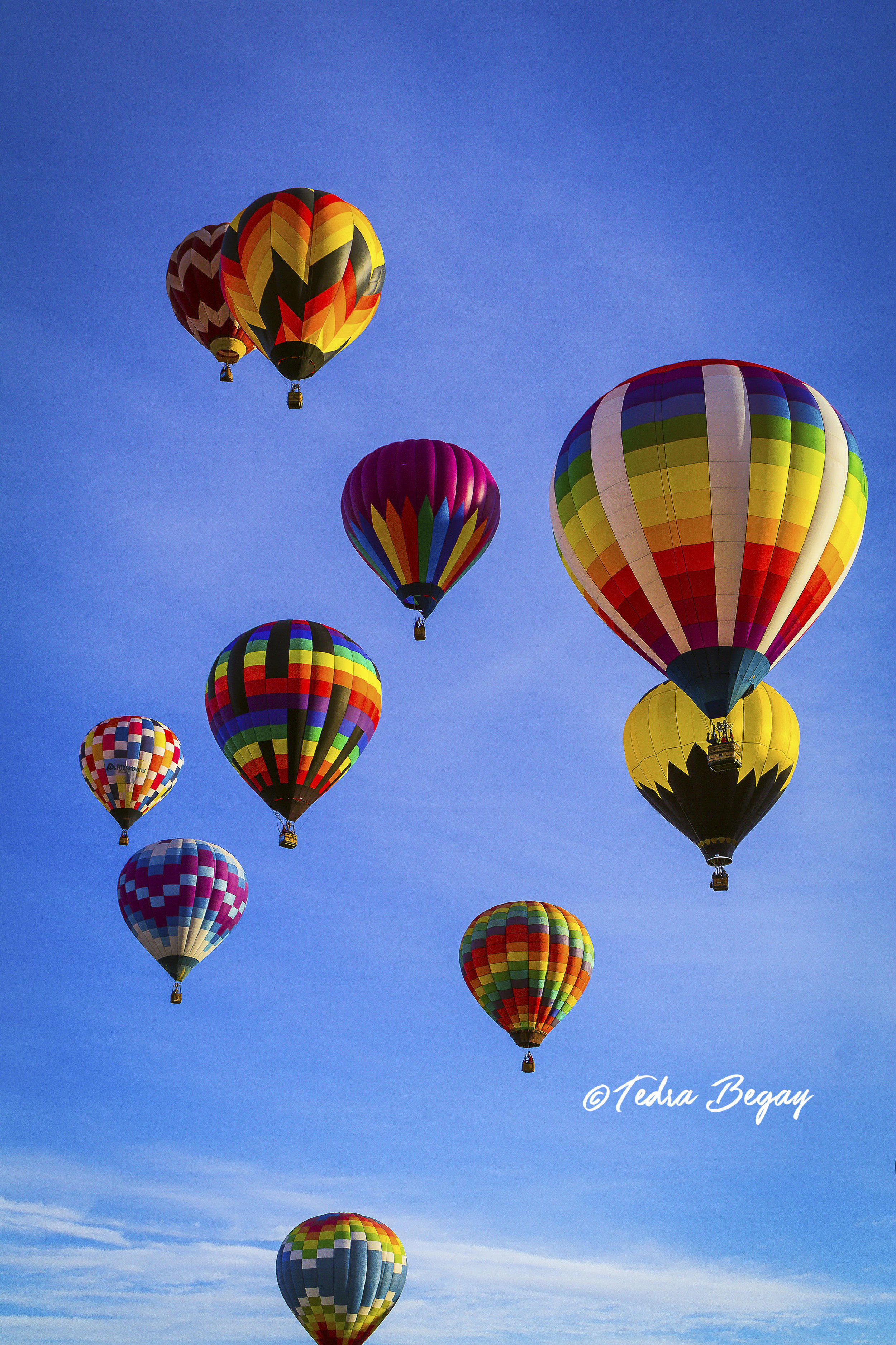 Balloon_Fiesta-15.jpg