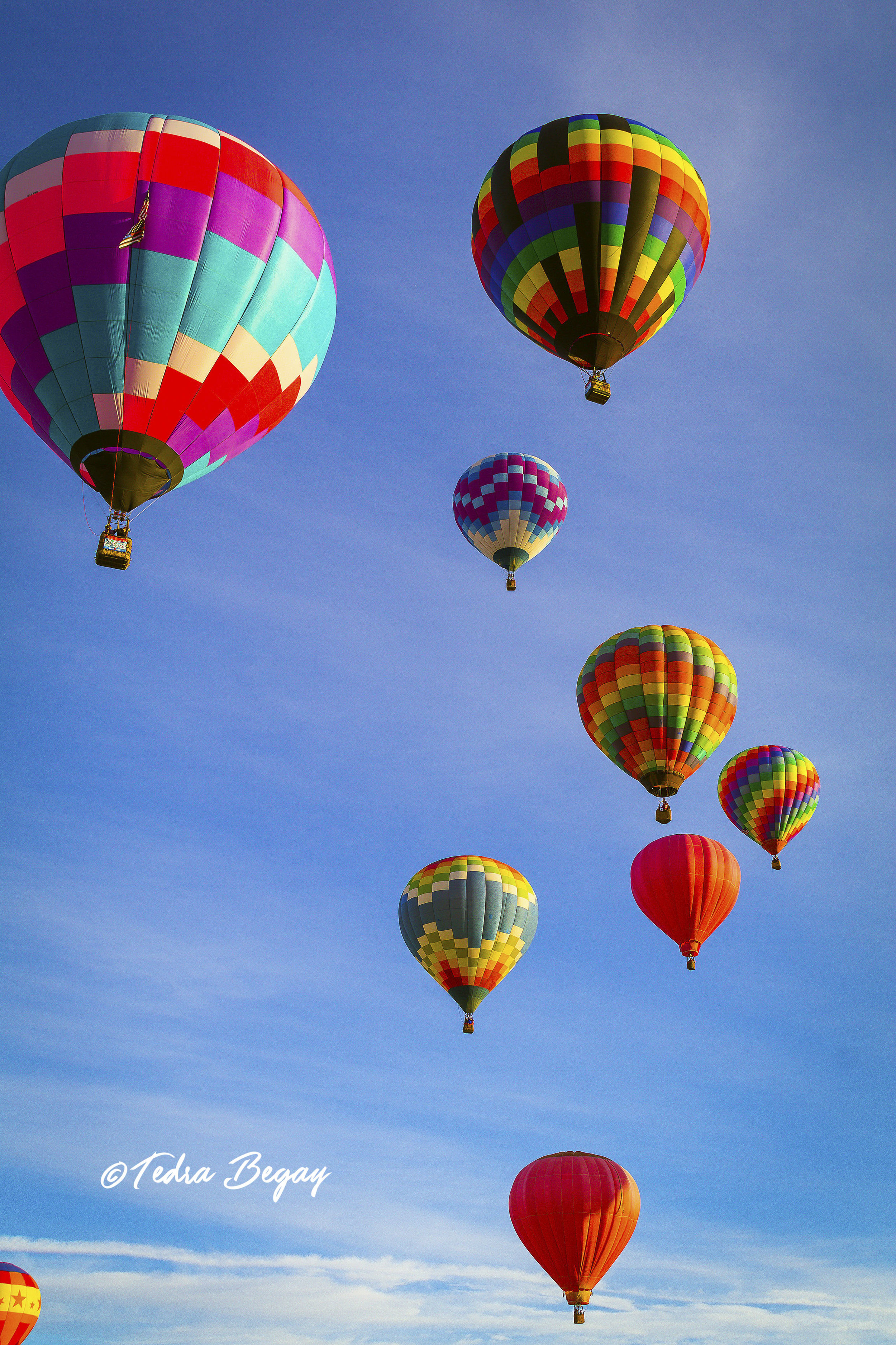 Balloon_Fiesta-19.jpg