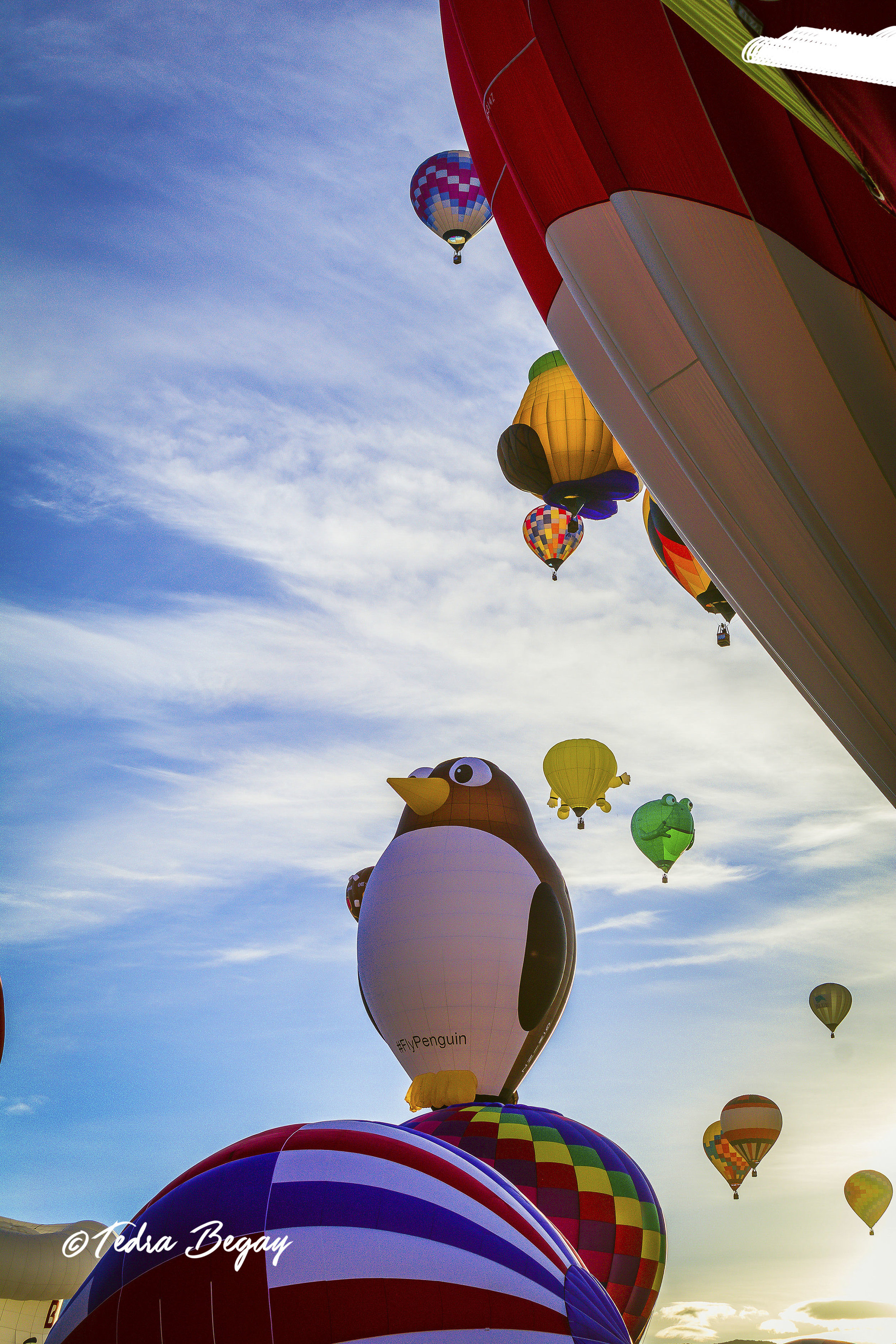 Balloon_Fiesta-21.jpg